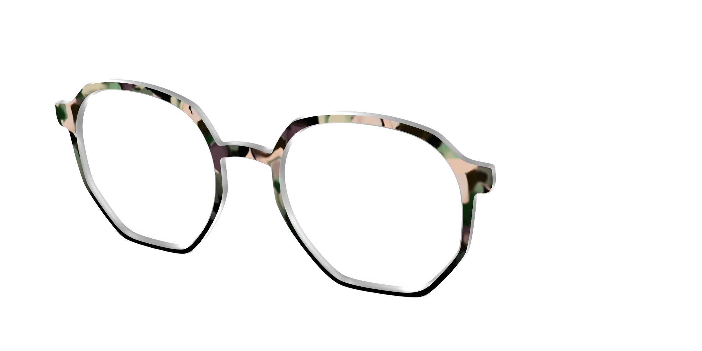 The Forest Tortoise - Image 60