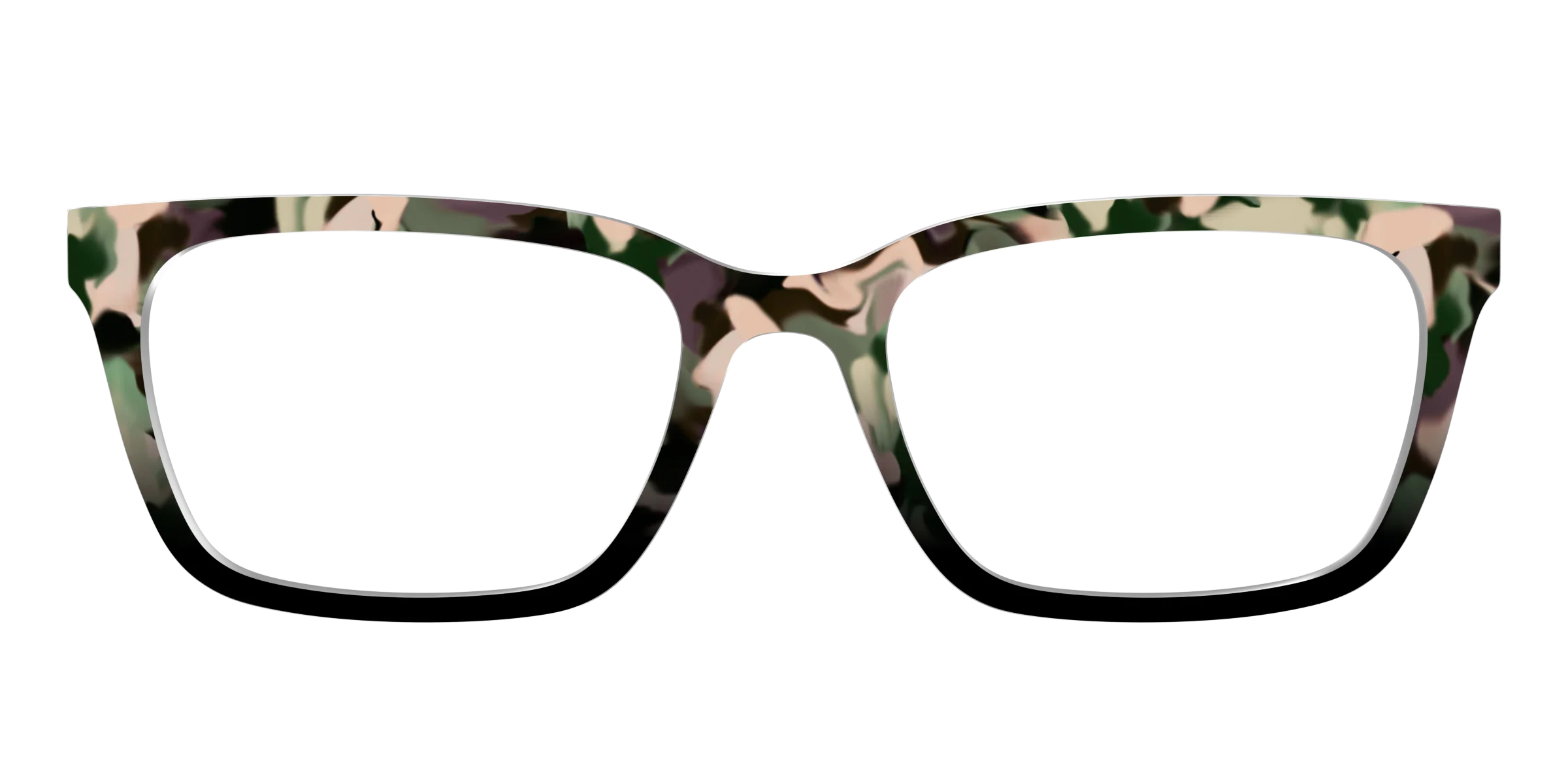 The Forest Tortoise - Image 9
