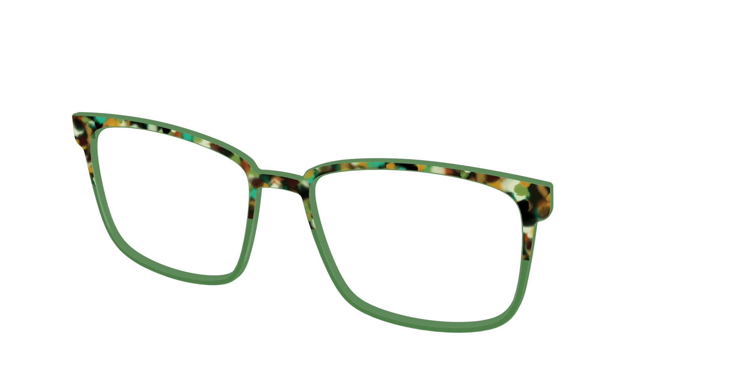 The Forest Tortoise Crystal Split - Image 50