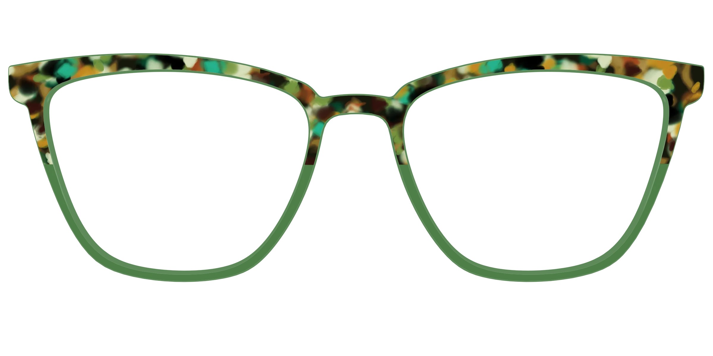 The Forest Tortoise Crystal Split - Image 57