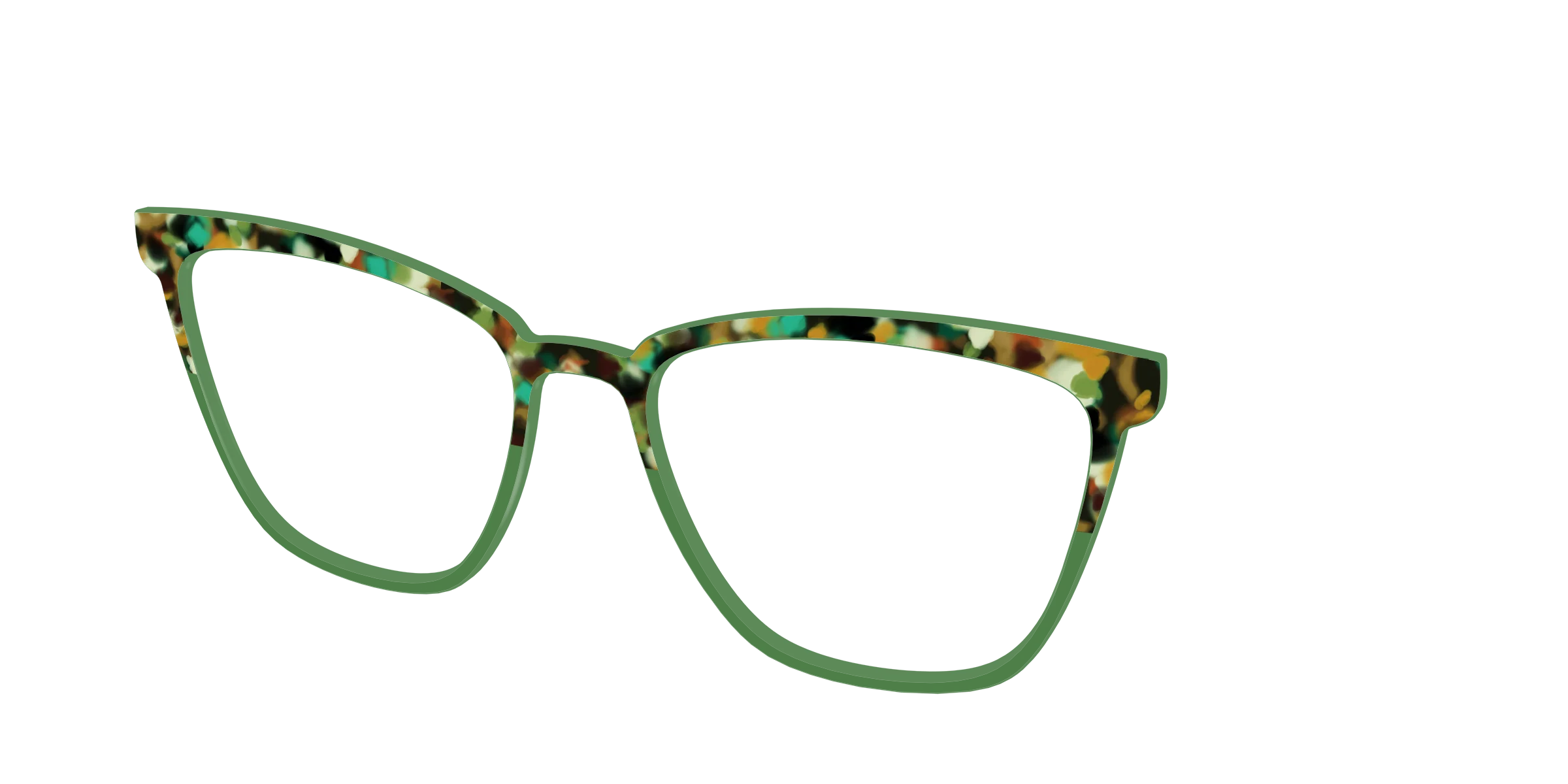 The Forest Tortoise Crystal Split - Image 58
