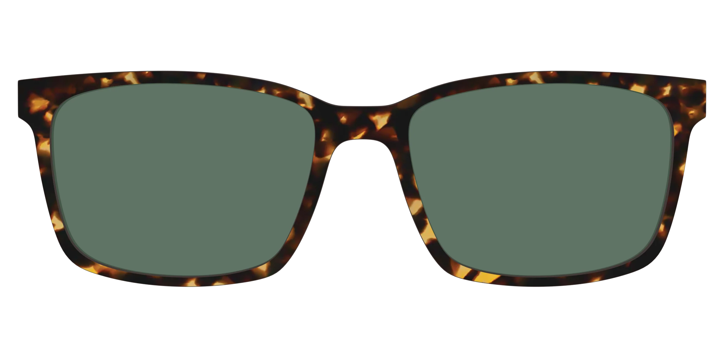 The Non-Polarized Green Tortoise Sun Top - Image 11