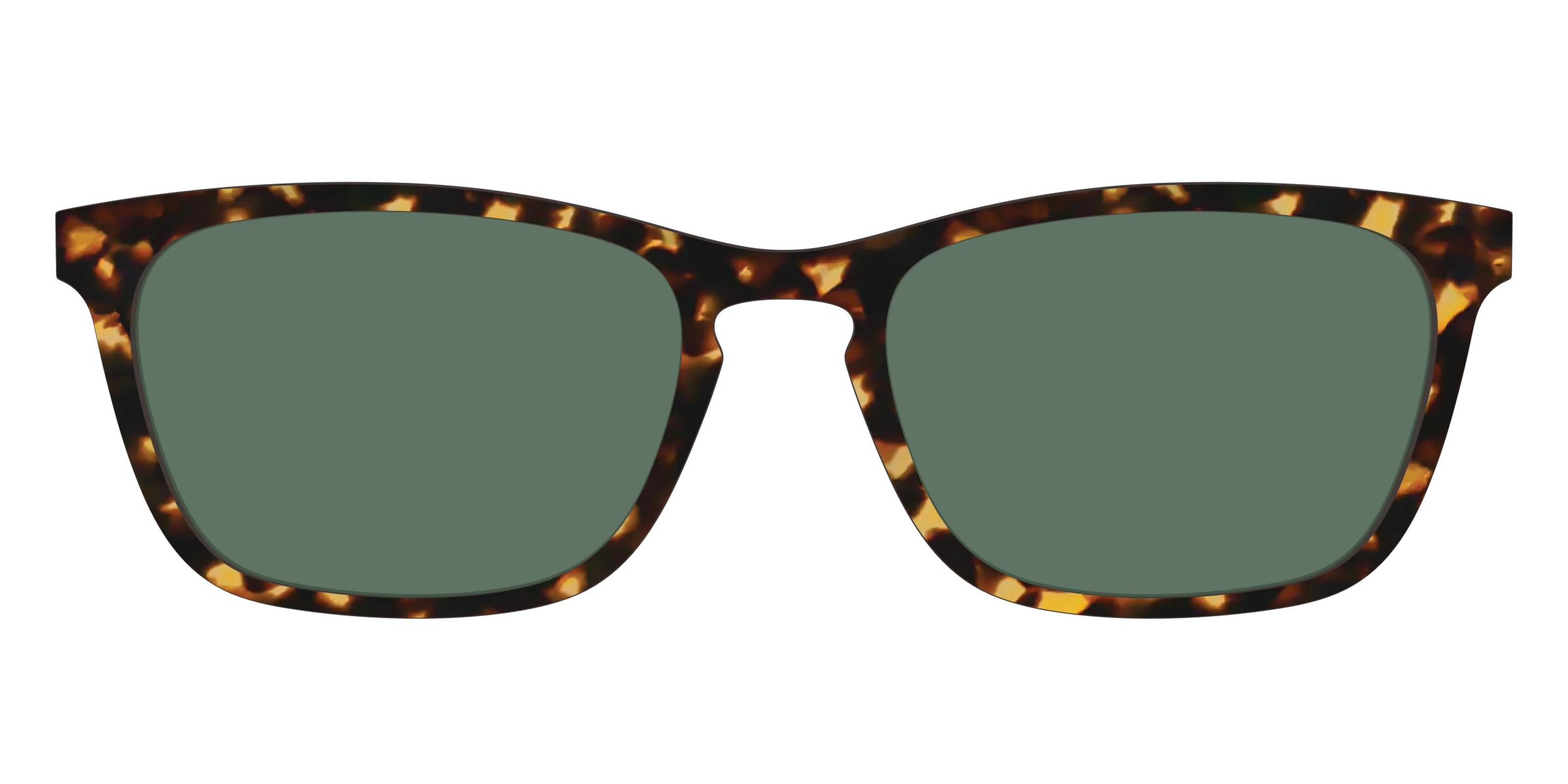 The Non-Polarized Green Tortoise Sun Top - Image 13