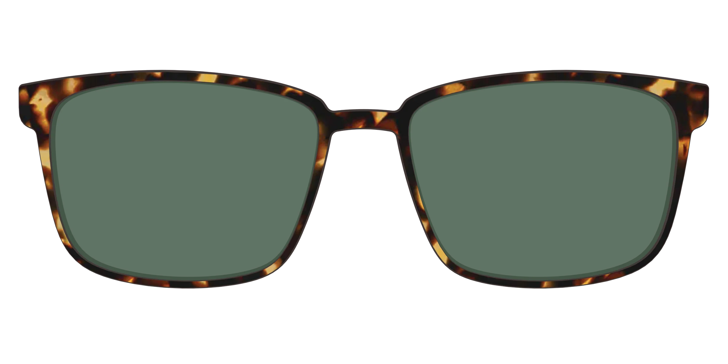 The Non-Polarized Green Tortoise Sun Top - Image 49