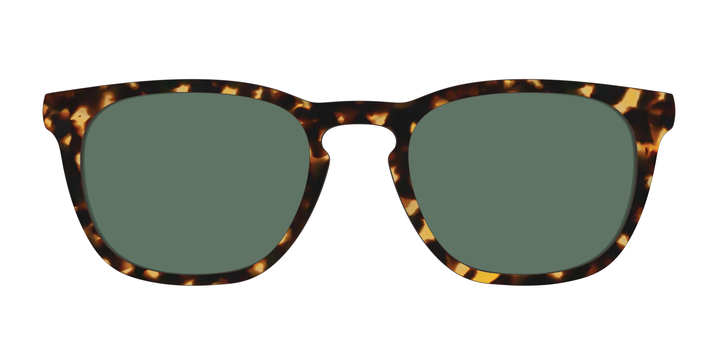 The Non-Polarized Green Tortoise Sun Top - Image 7
