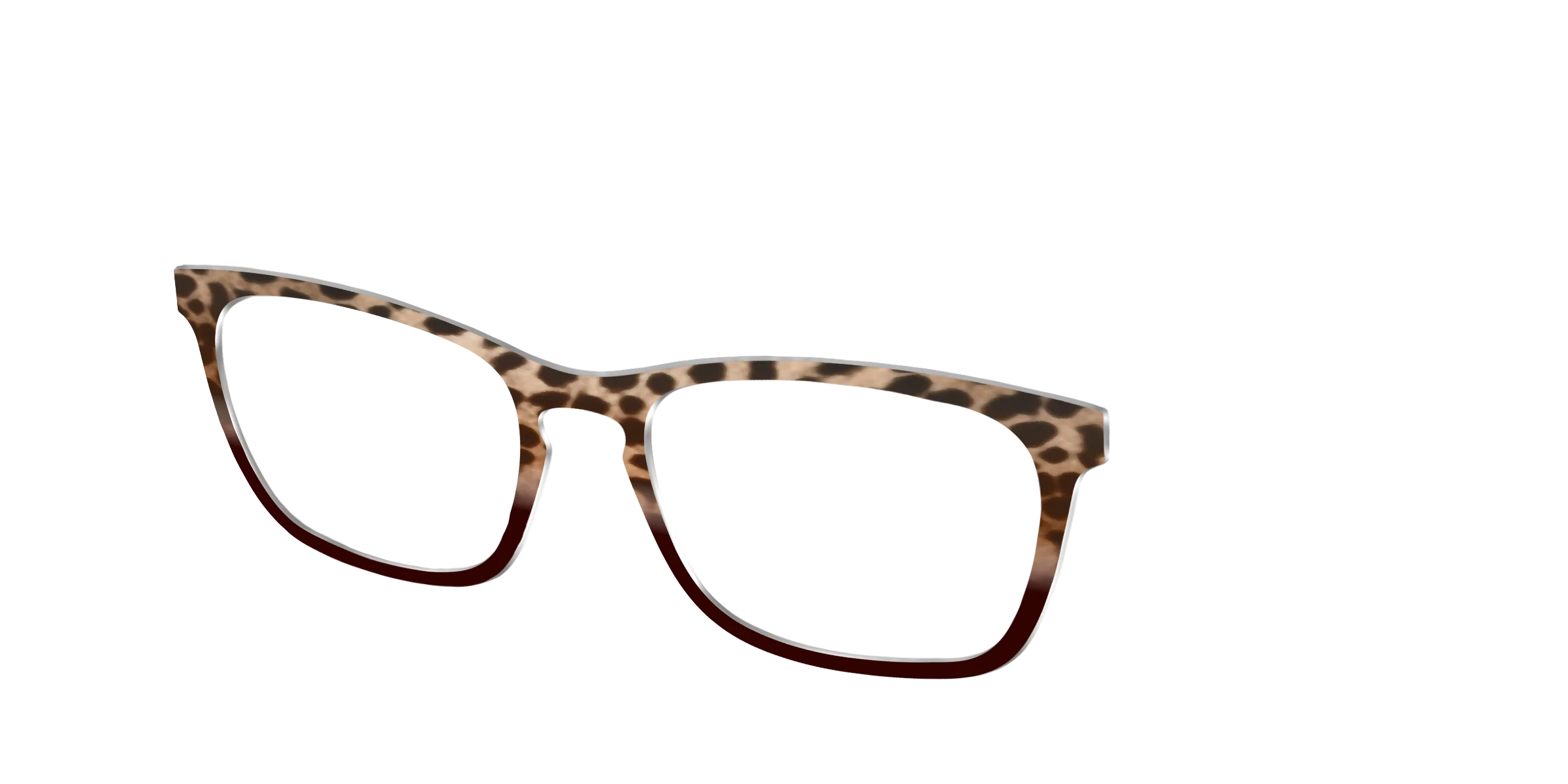 The Jungle Cat Tortoise - Image 14