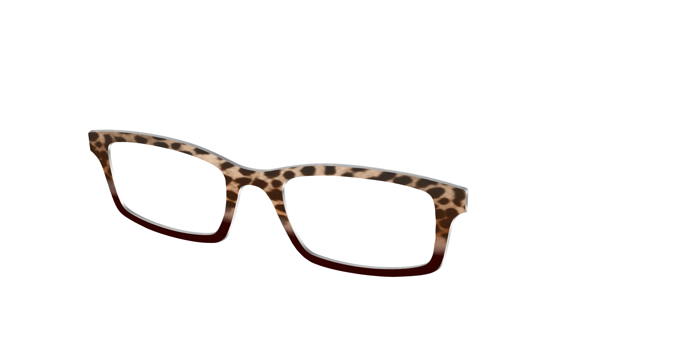 The Jungle Cat Tortoise - Image 2