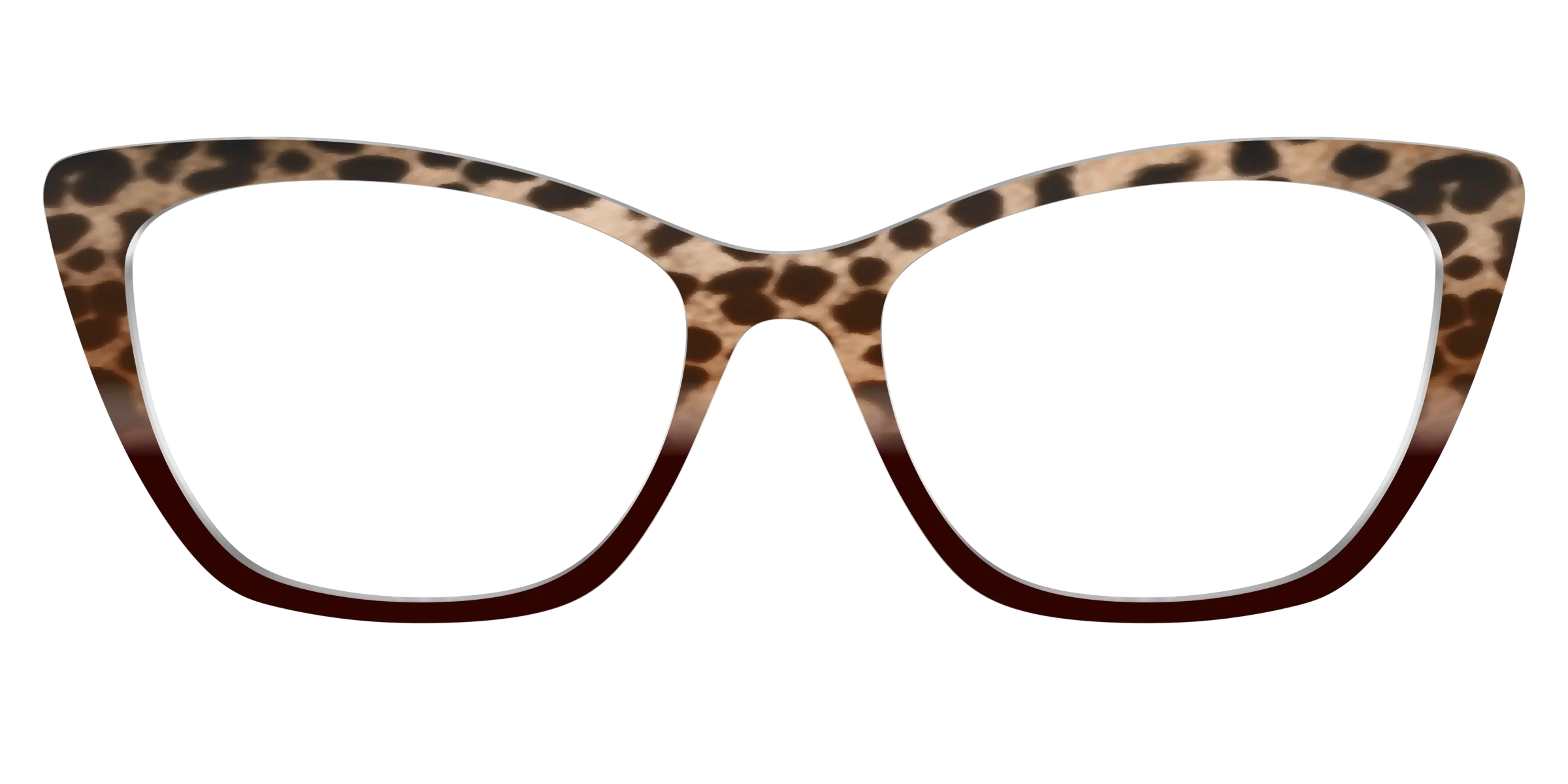 The Jungle Cat Tortoise - Image 25