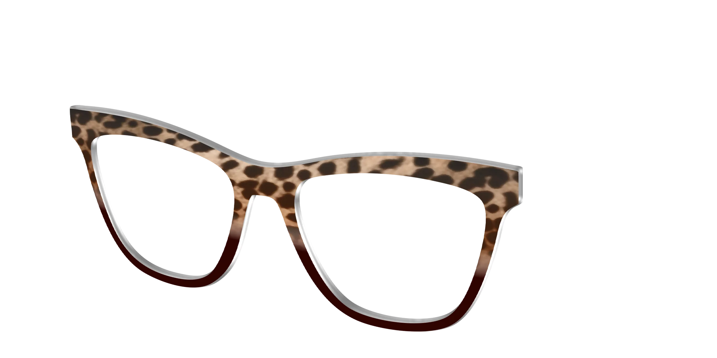 The Jungle Cat Tortoise - Image 30