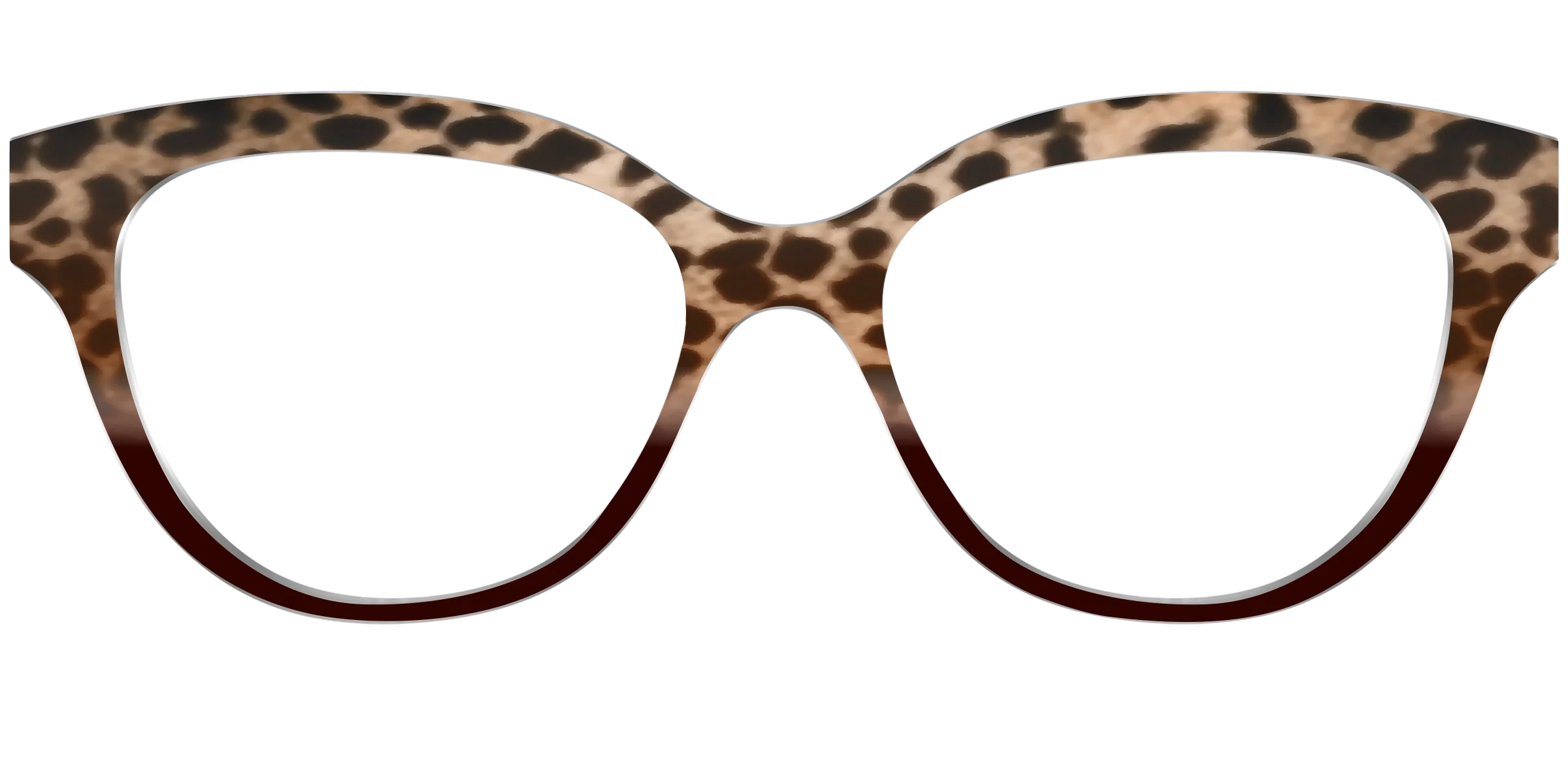 The Jungle Cat Tortoise - Image 33