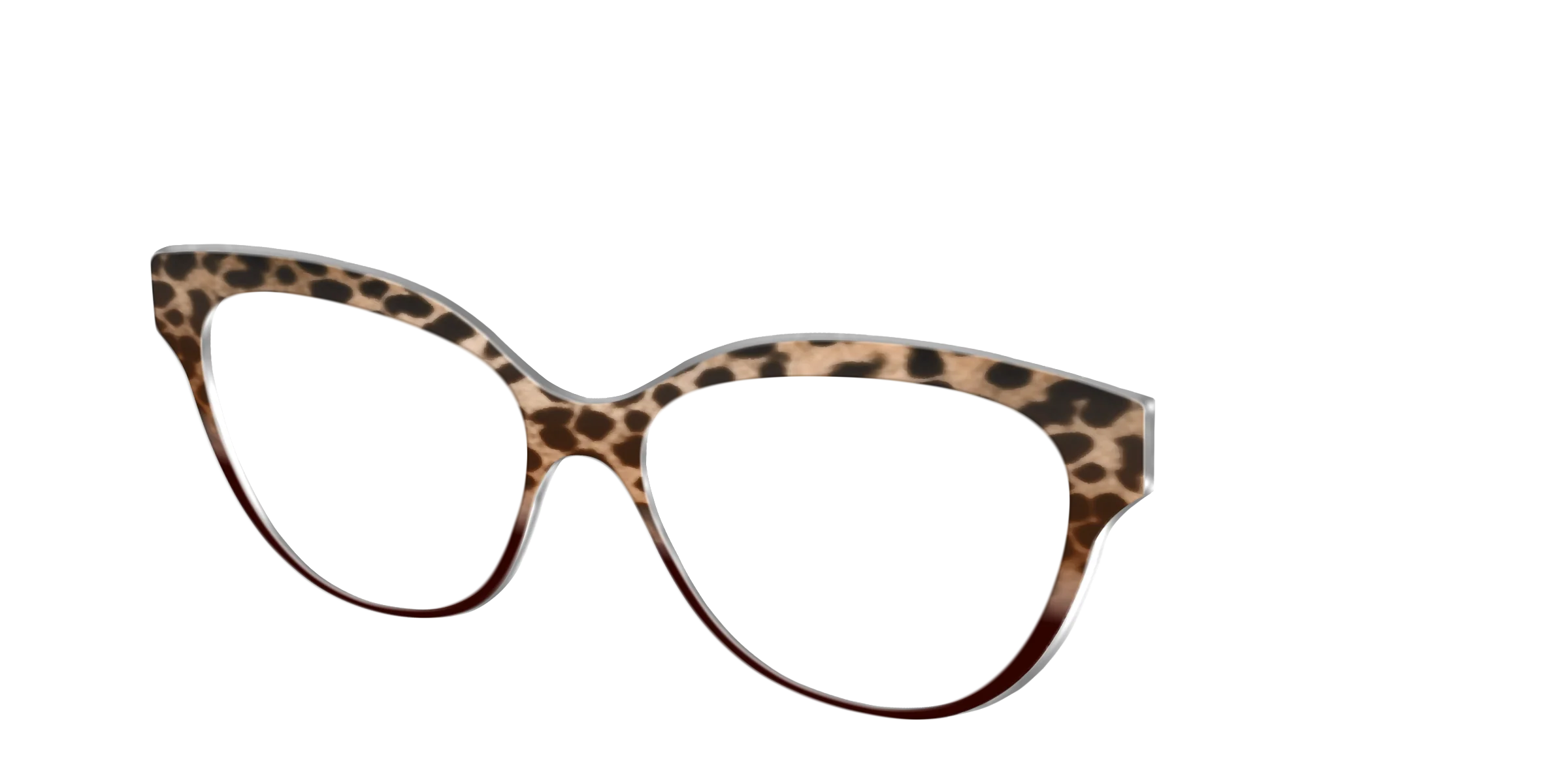 The Jungle Cat Tortoise - Image 34