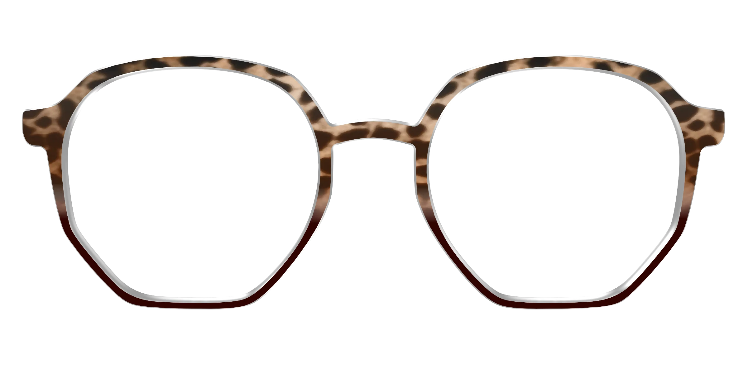 The Jungle Cat Tortoise - Image 59