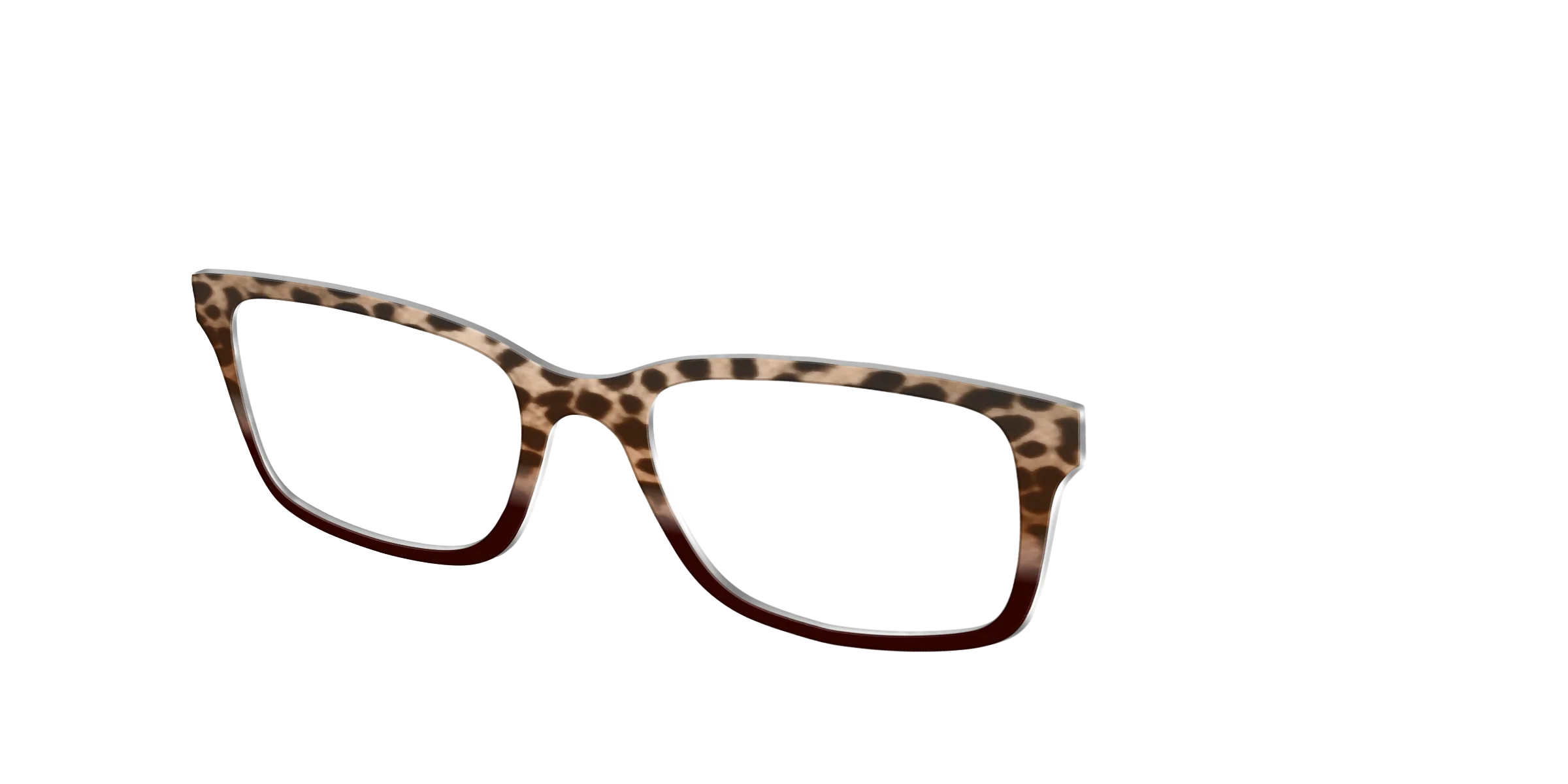 The Jungle Cat Tortoise - Image 6