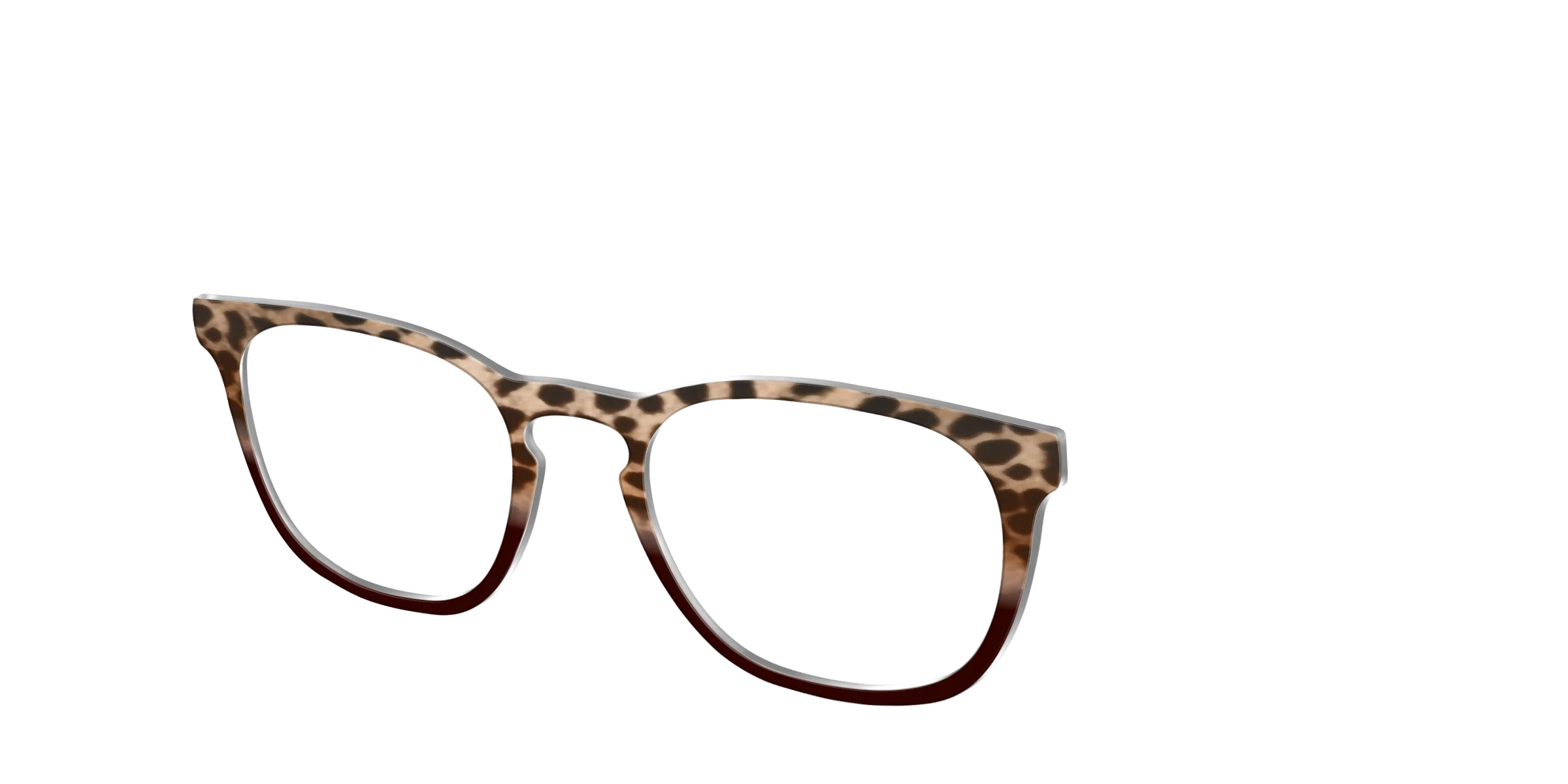 The Jungle Cat Tortoise - Image 8