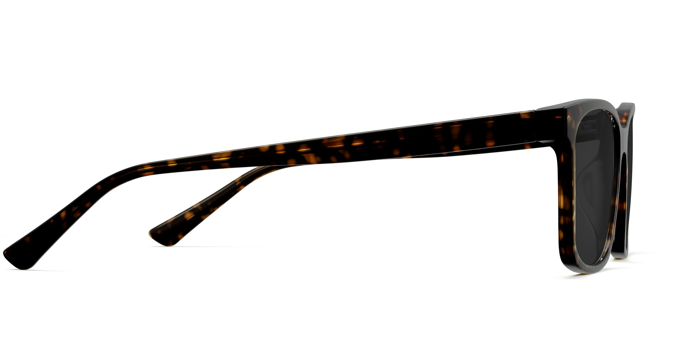 The Kirby - Tortoise Sun - Image 5