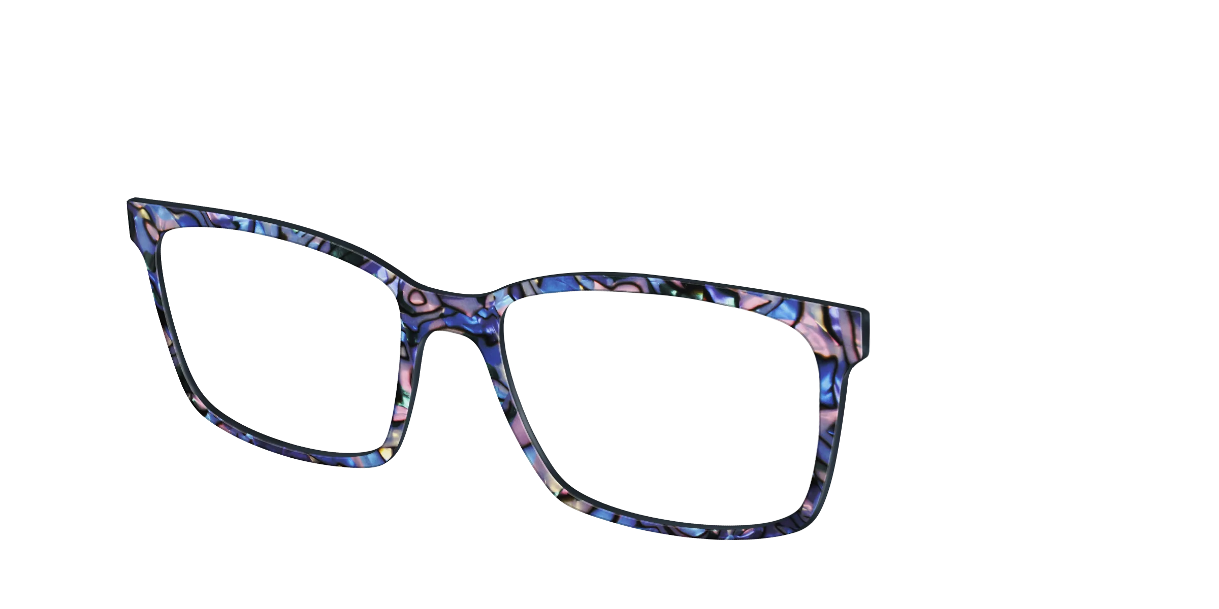 The Lagoon Pearl Tortoise - Image 12