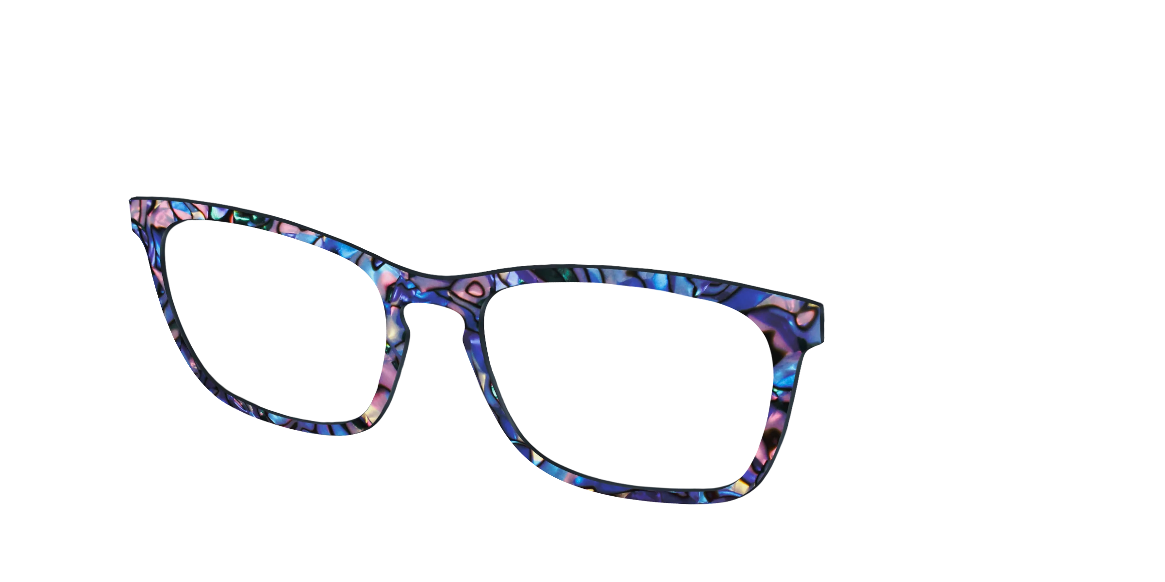 The Lagoon Pearl Tortoise - Image 14