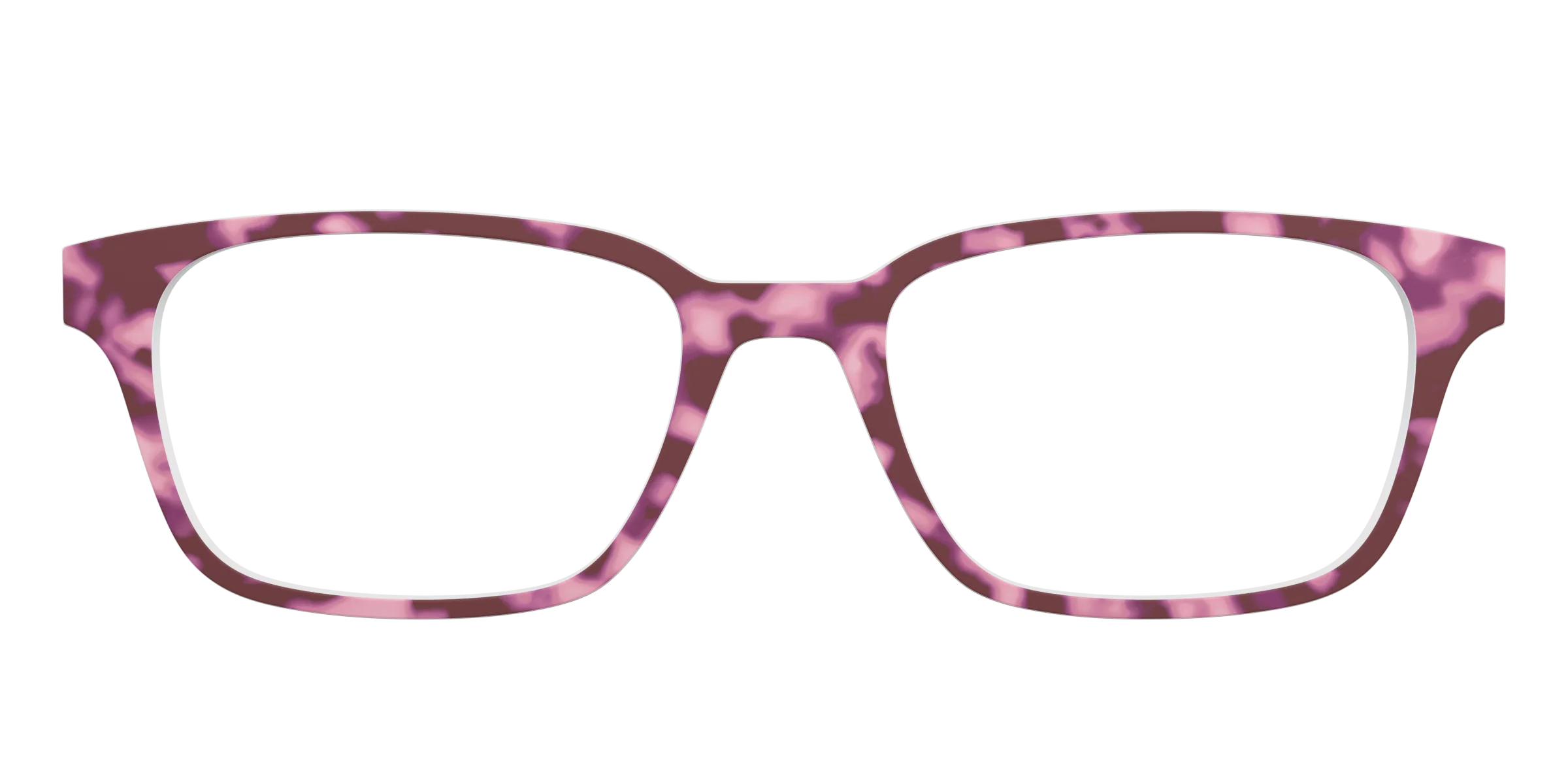 The Maroon Tortoise - Image 11