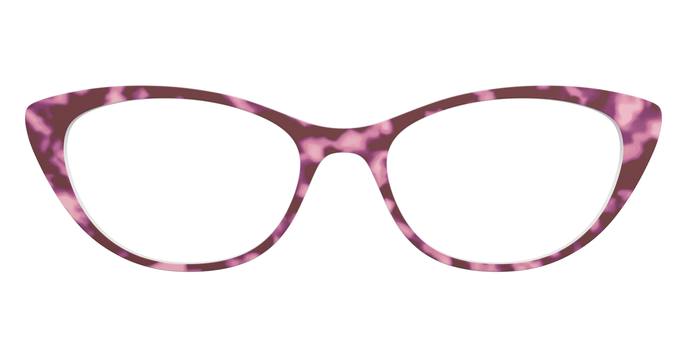 The Maroon Tortoise - Image 12