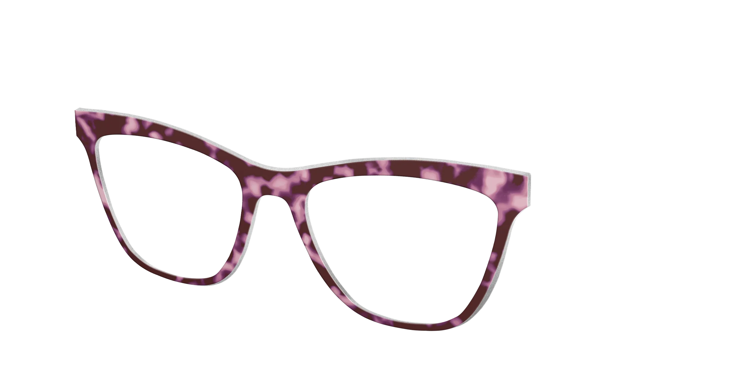 The Maroon Tortoise - Image 17