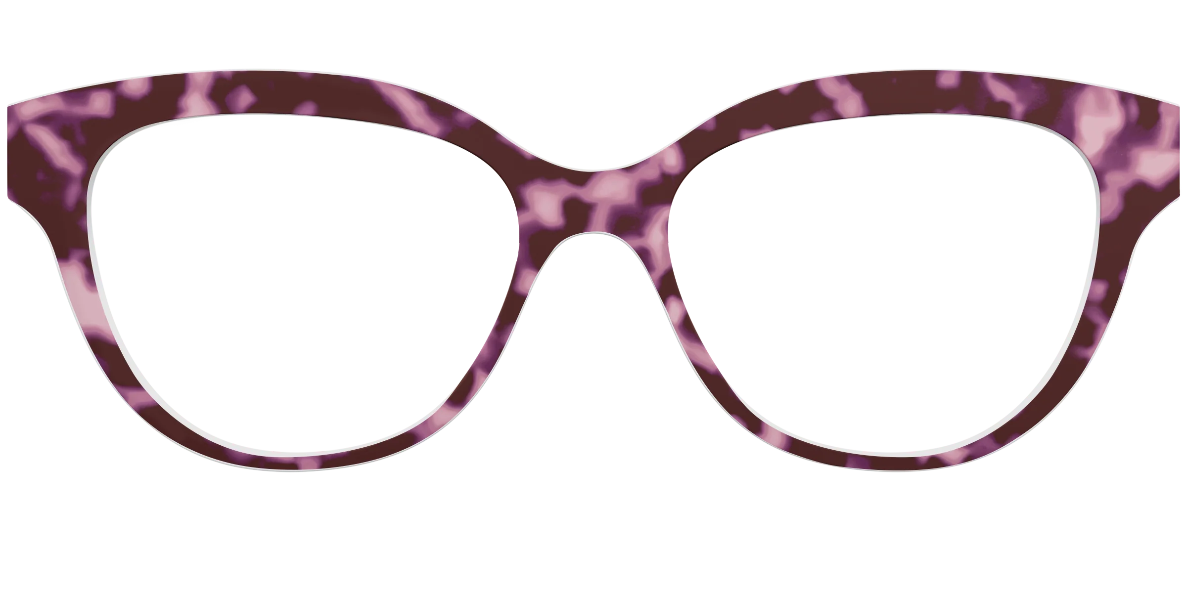 The Maroon Tortoise - Image 20