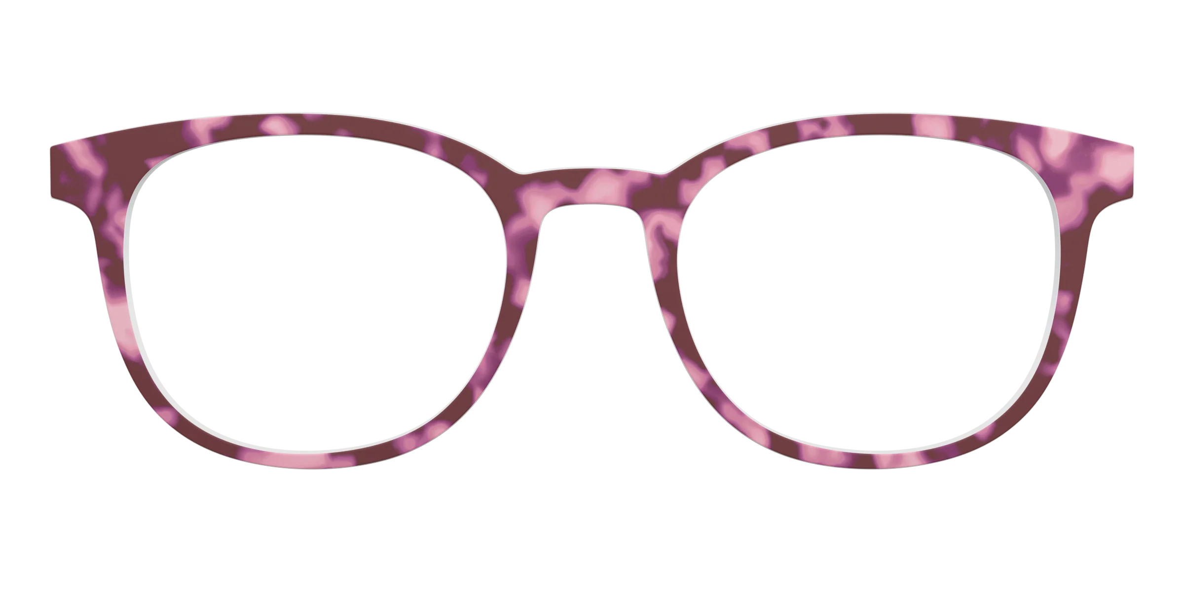 The Maroon Tortoise - Image 8