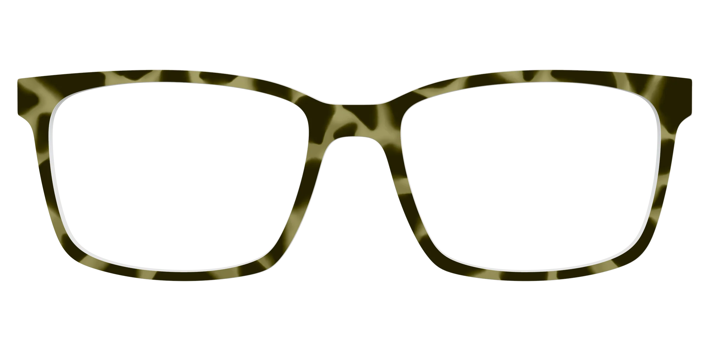 The Olive Tortoise - Image 11