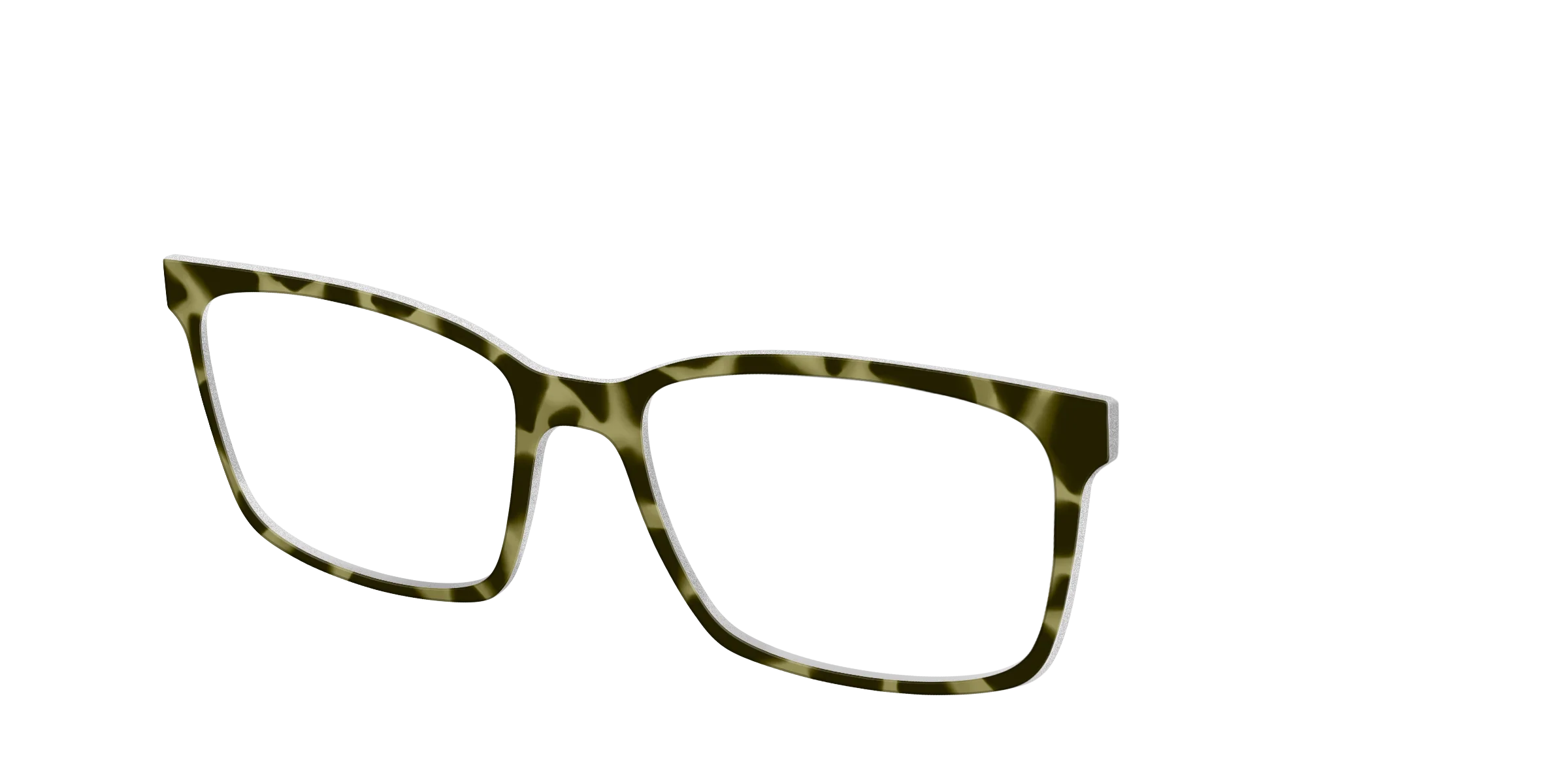 The Olive Tortoise - Image 12