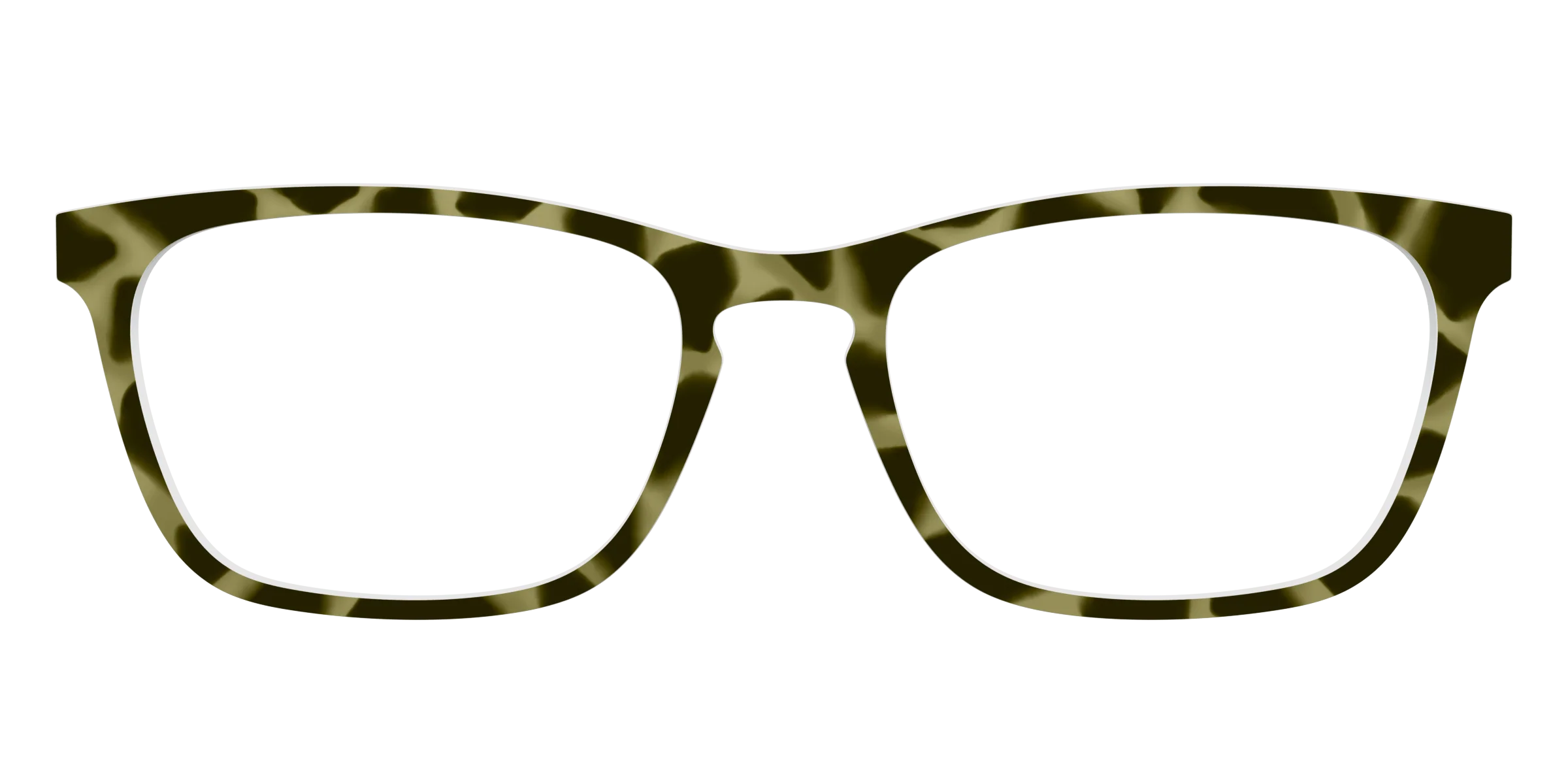 The Olive Tortoise - Image 13