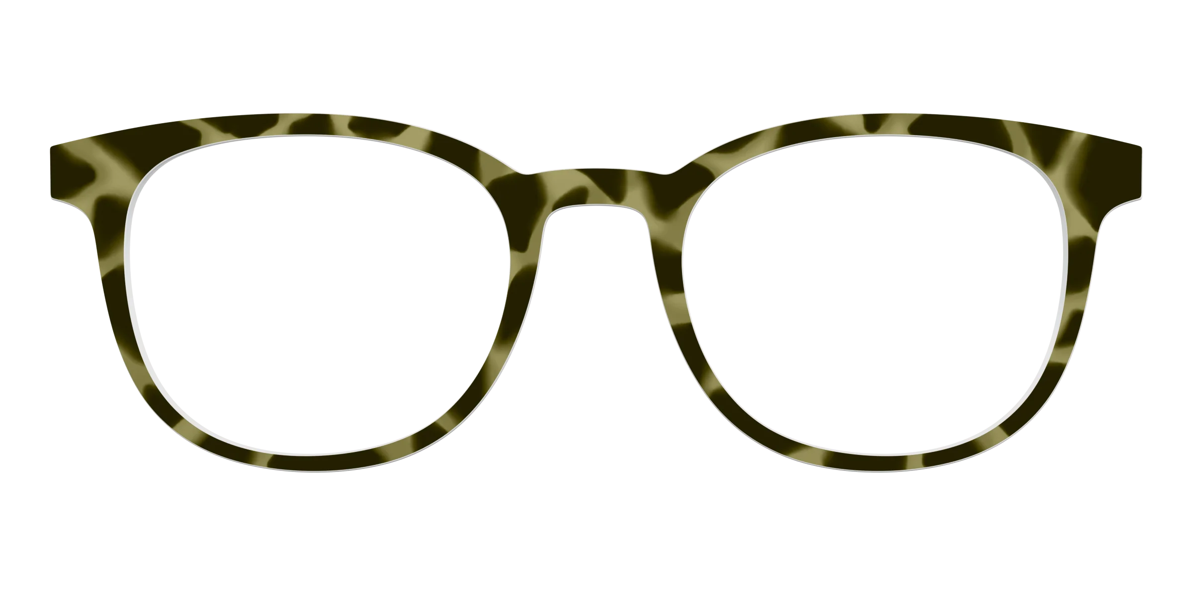 The Olive Tortoise - Image 15
