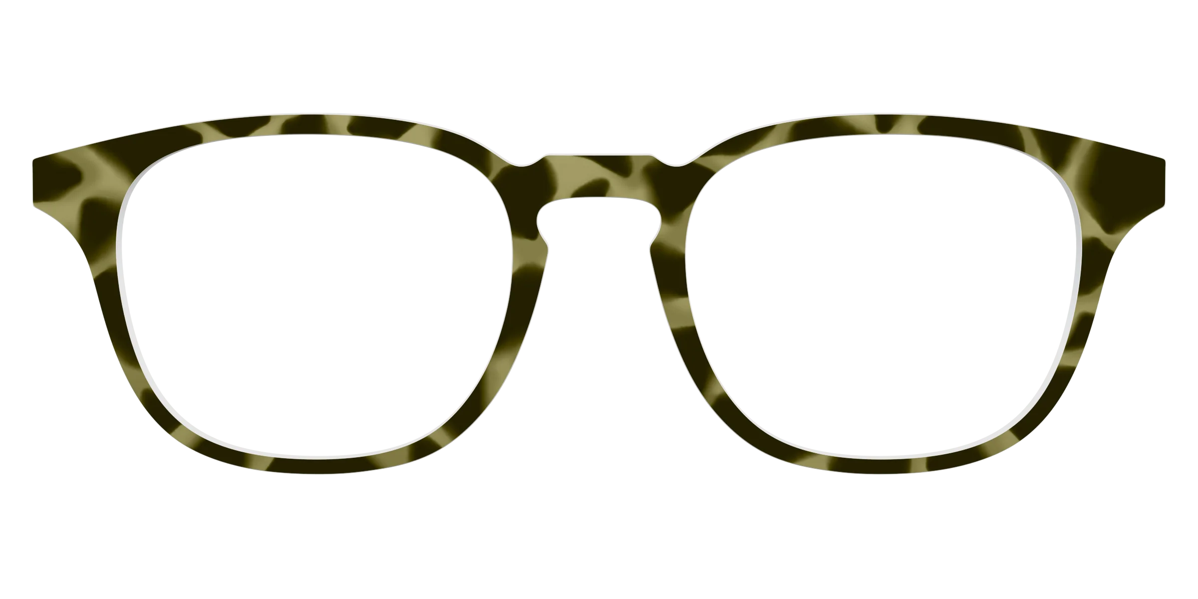 The Olive Tortoise - Image 17