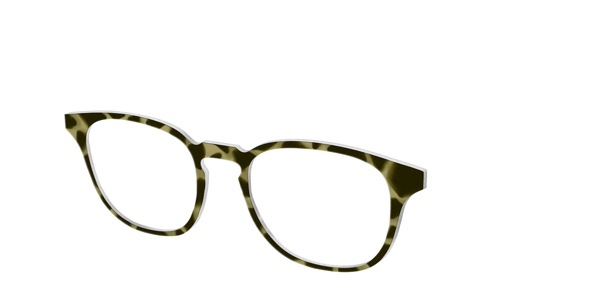 The Olive Tortoise - Image 18