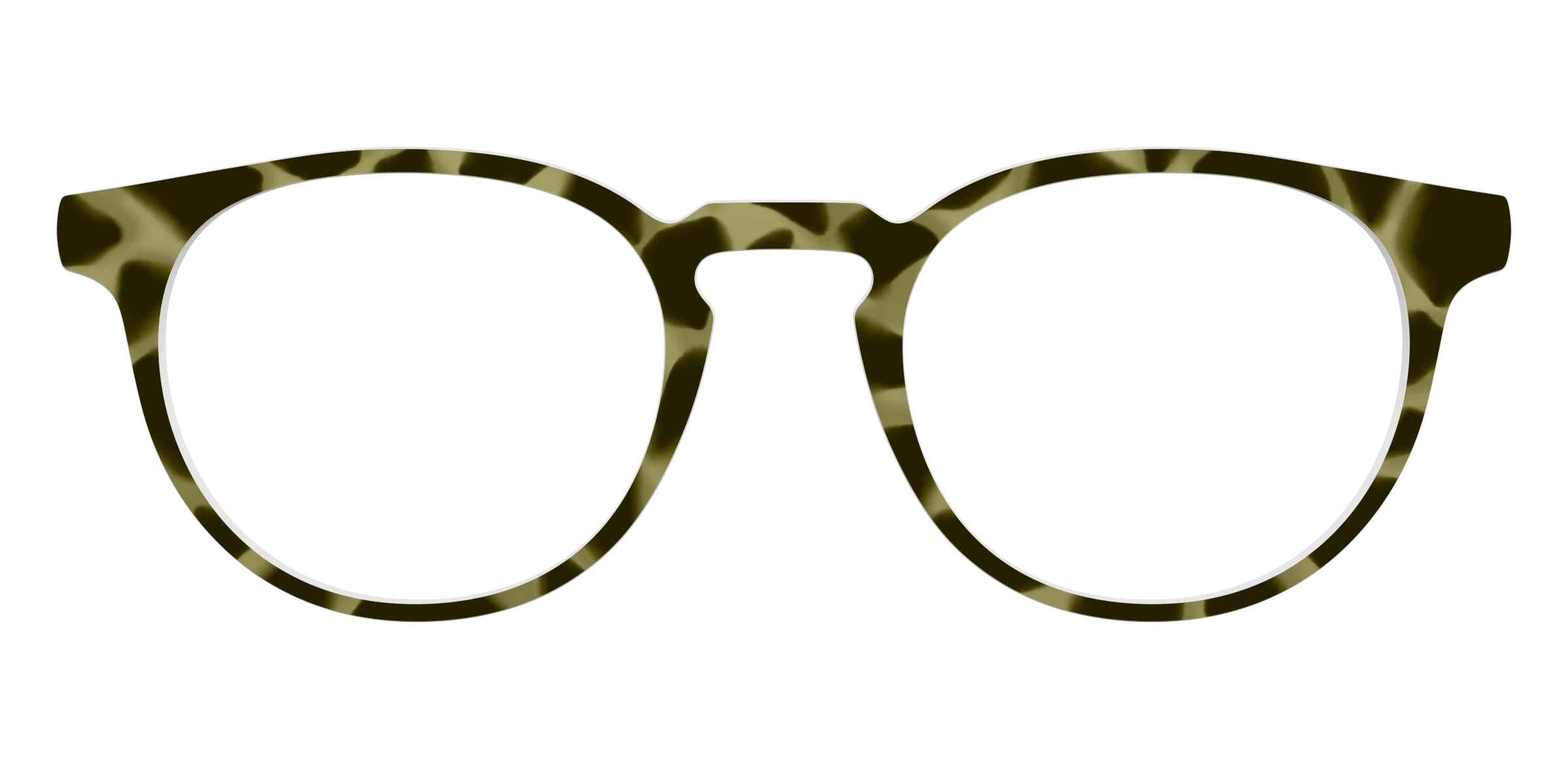 The Olive Tortoise - Image 19
