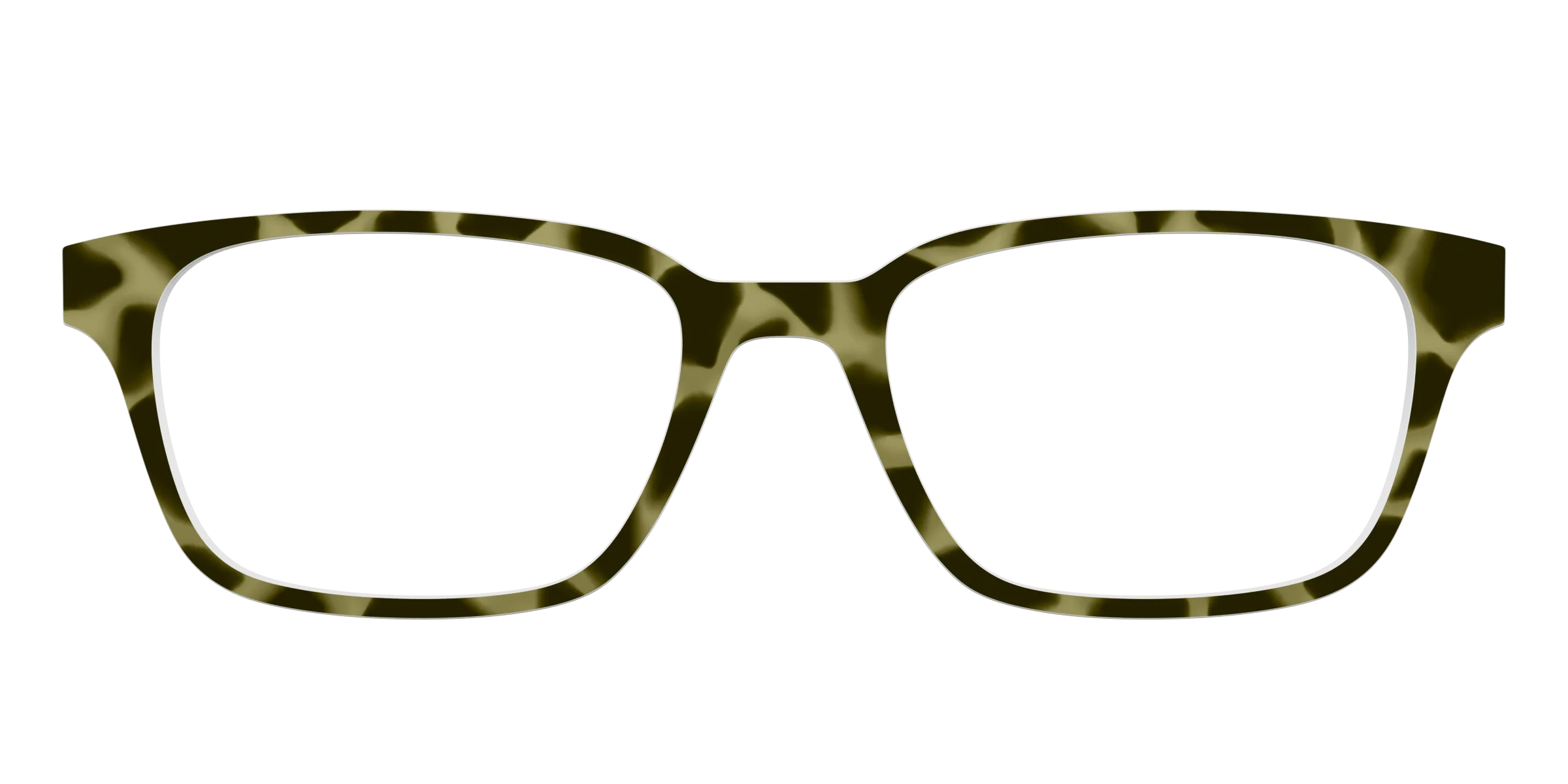 The Olive Tortoise - Image 21