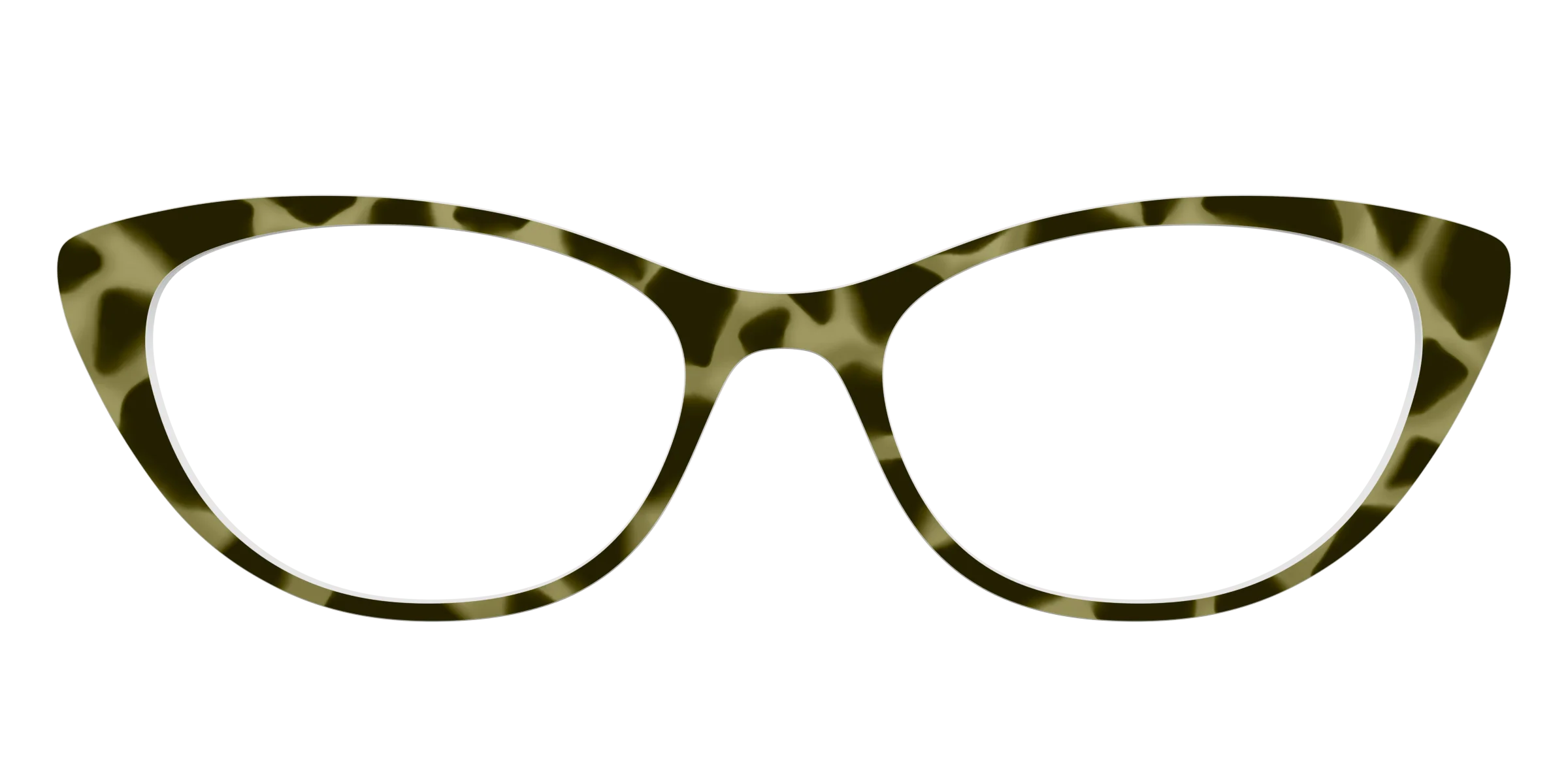 The Olive Tortoise - Image 23