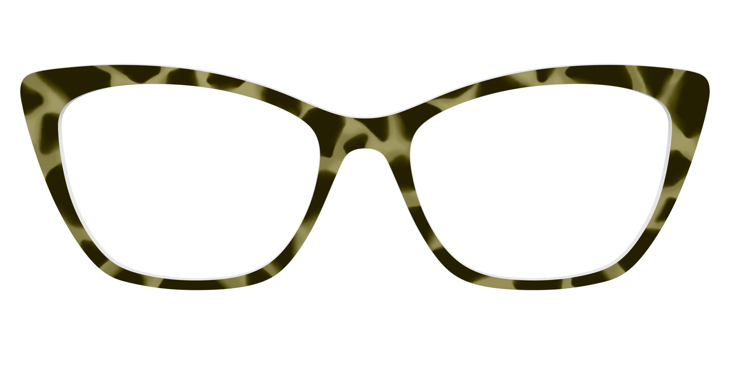 The Olive Tortoise - Image 25