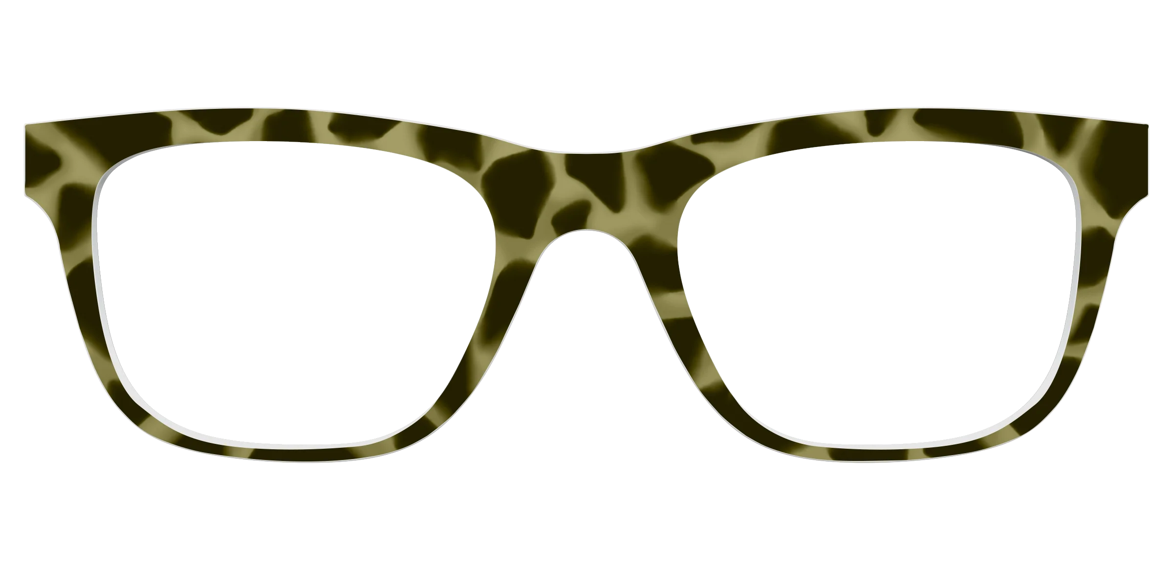 The Olive Tortoise - Image 27