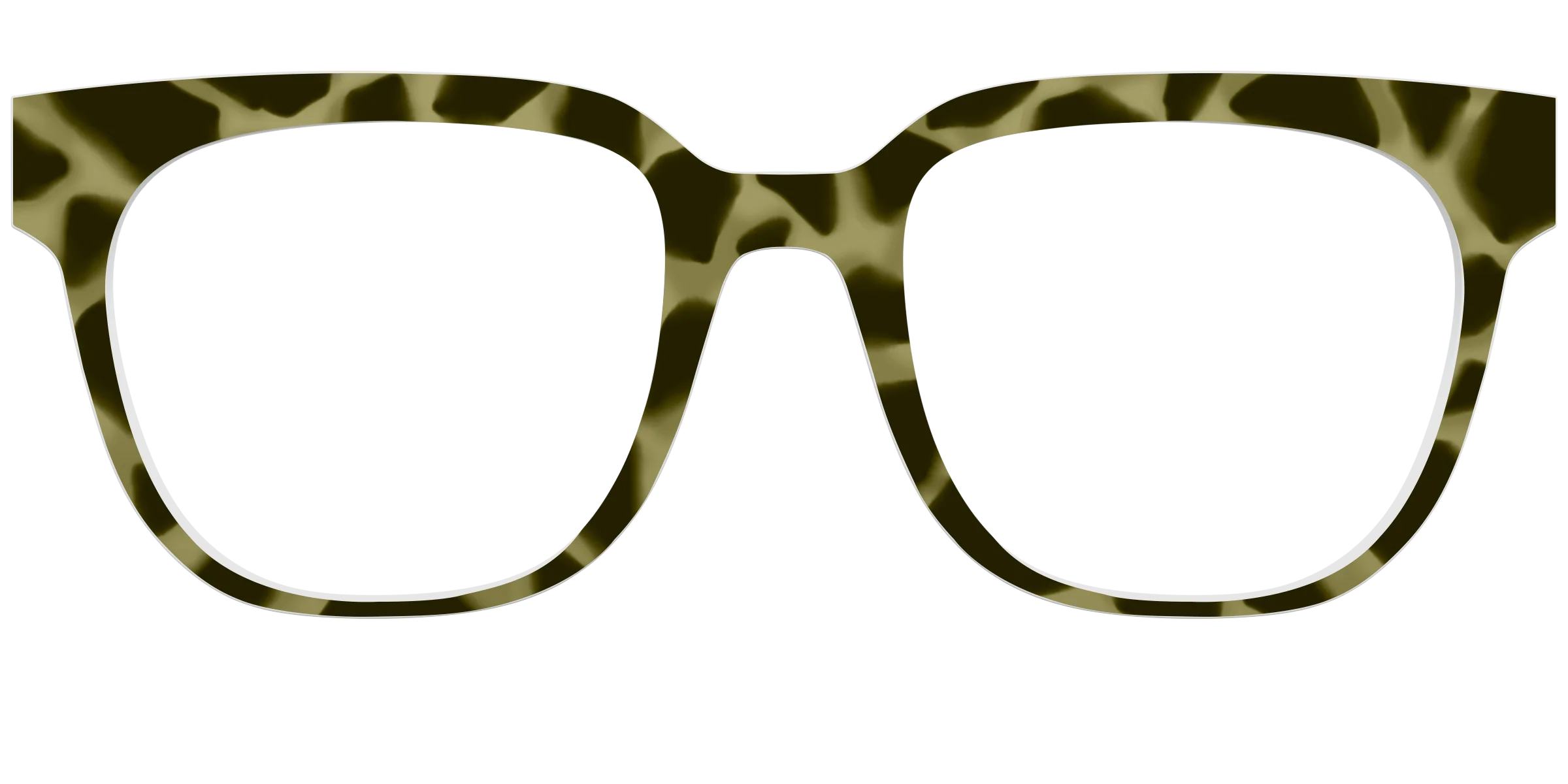The Olive Tortoise - Image 31
