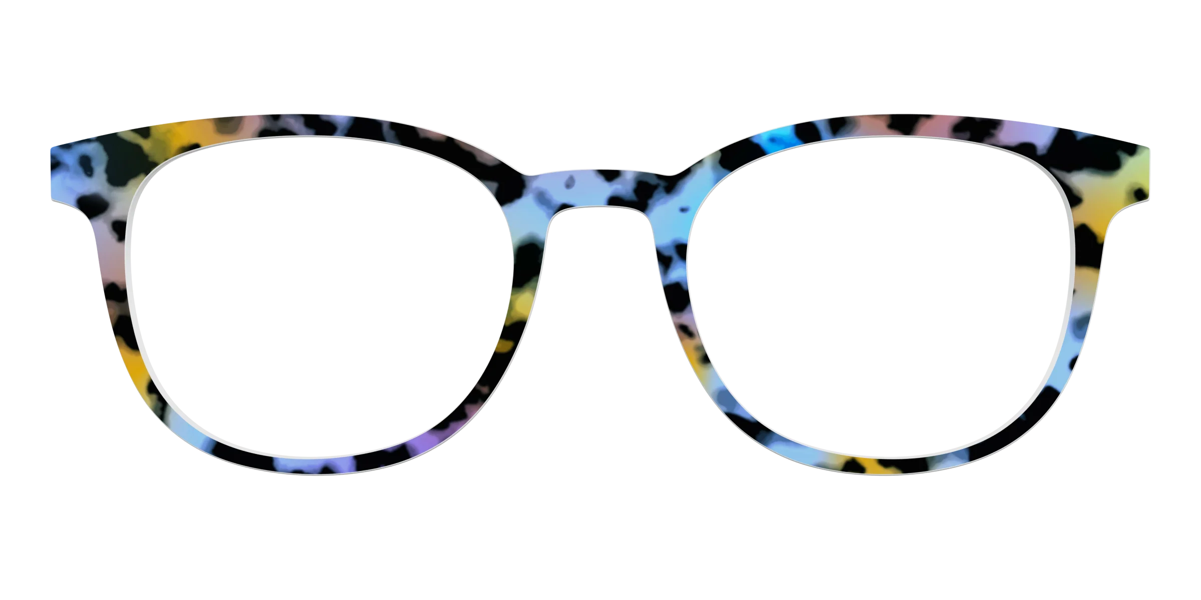 The Positano Tortoise - Image 15