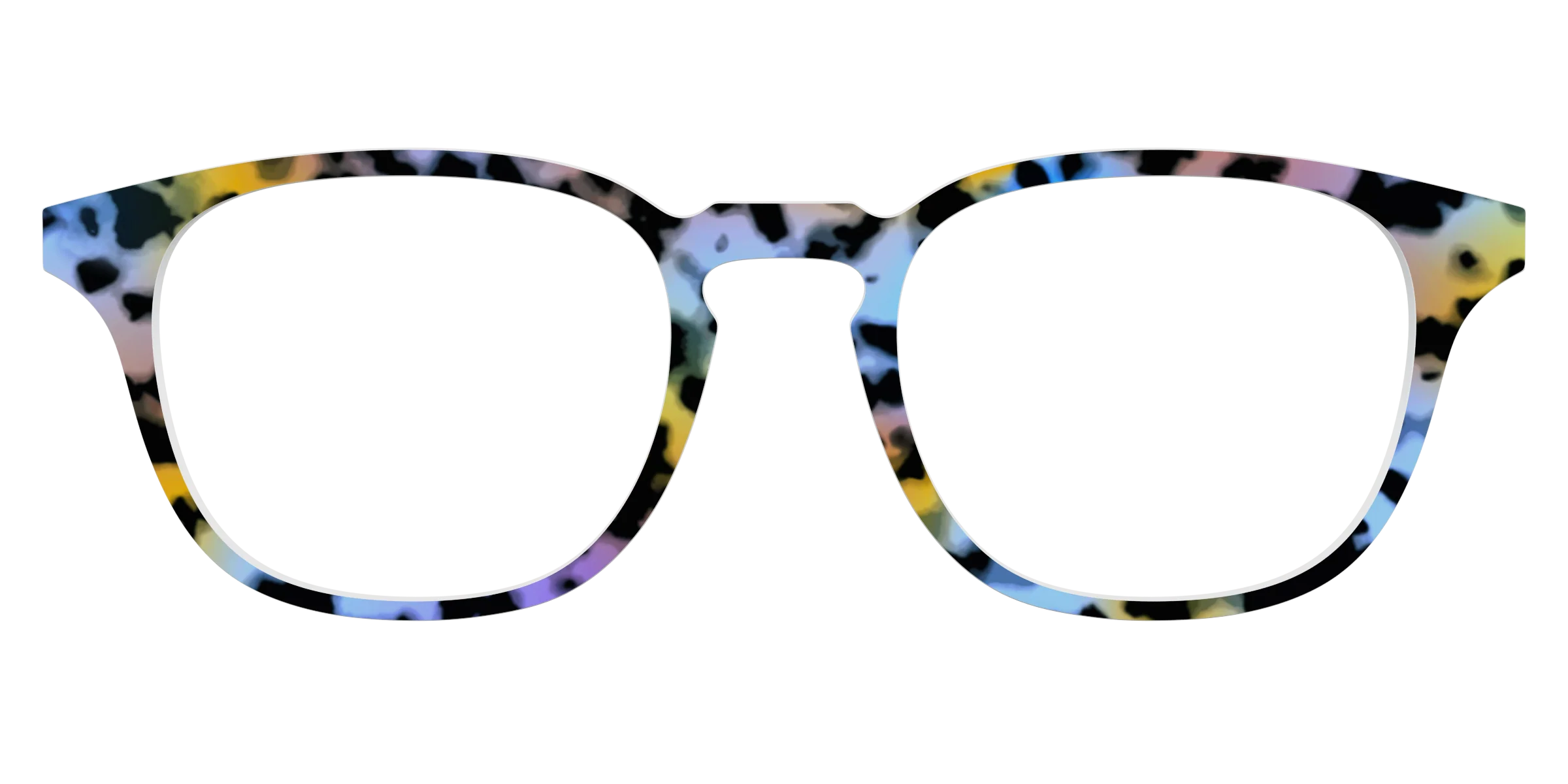 The Positano Tortoise - Image 17