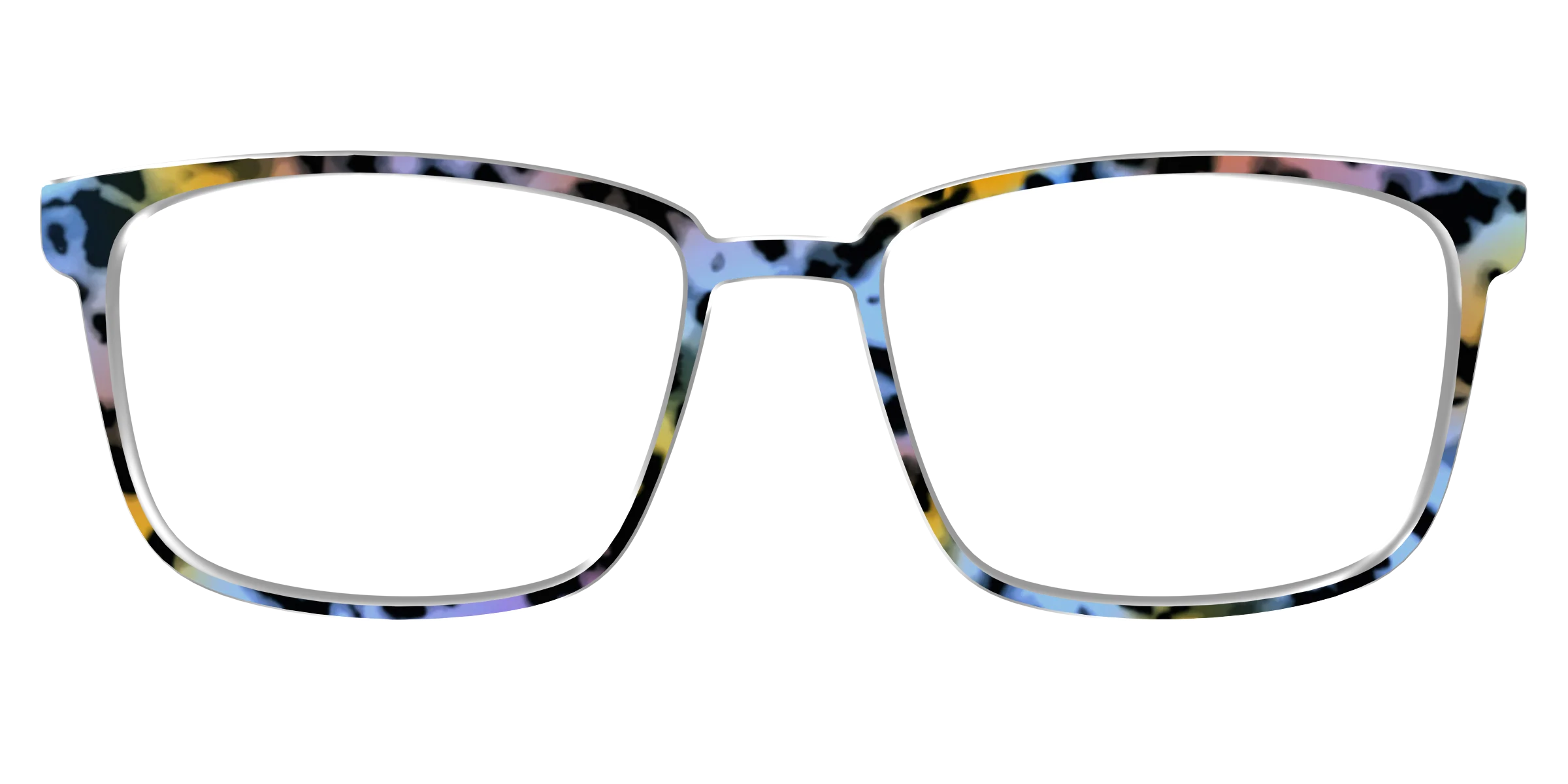 The Positano Tortoise - Image 49