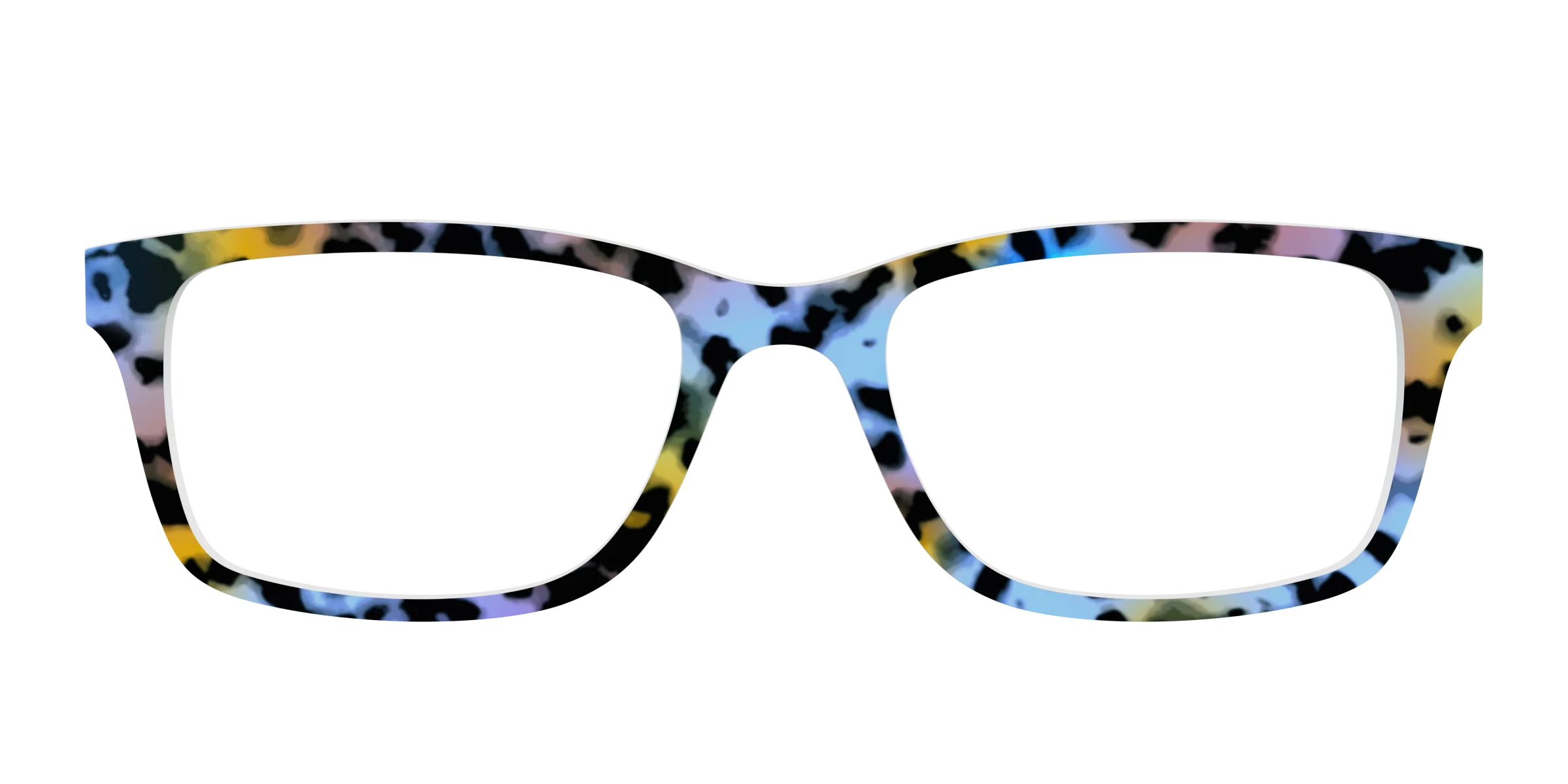 The Positano Tortoise - Image 5