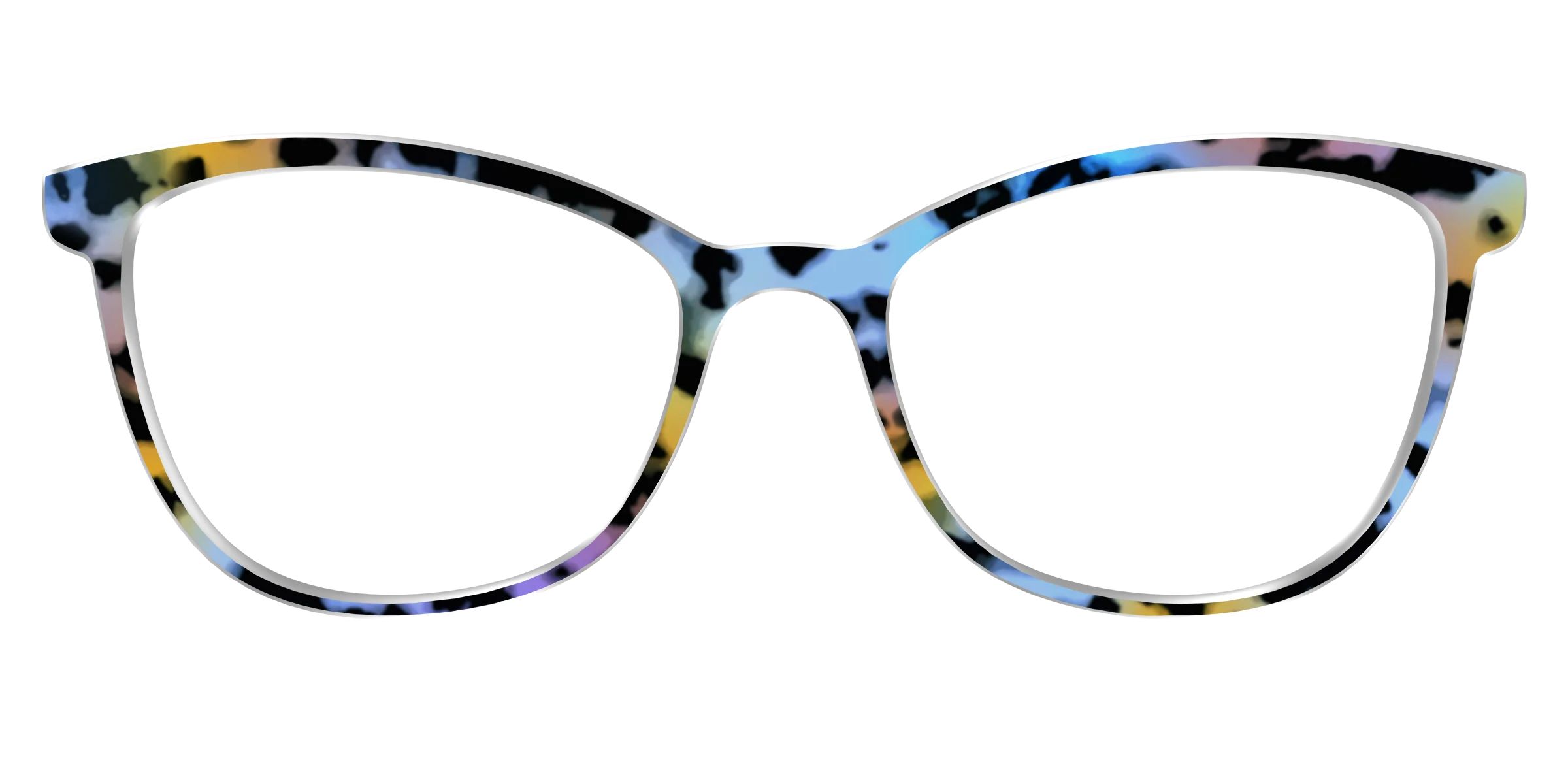 The Positano Tortoise - Image 53