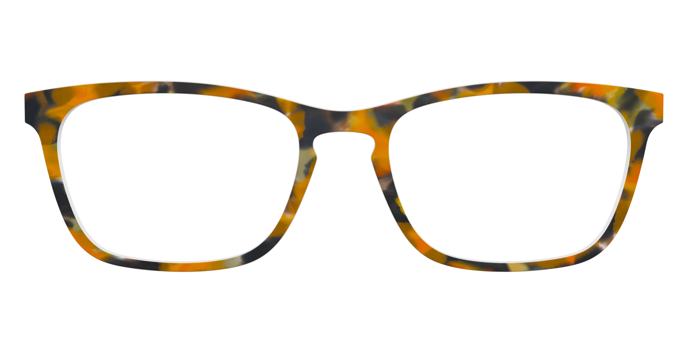 The Pumpkin Tortoise - Image 13