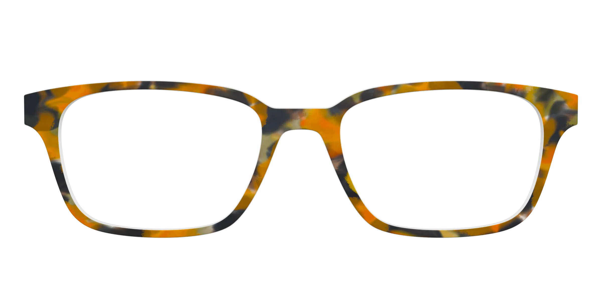 The Pumpkin Tortoise - Image 21
