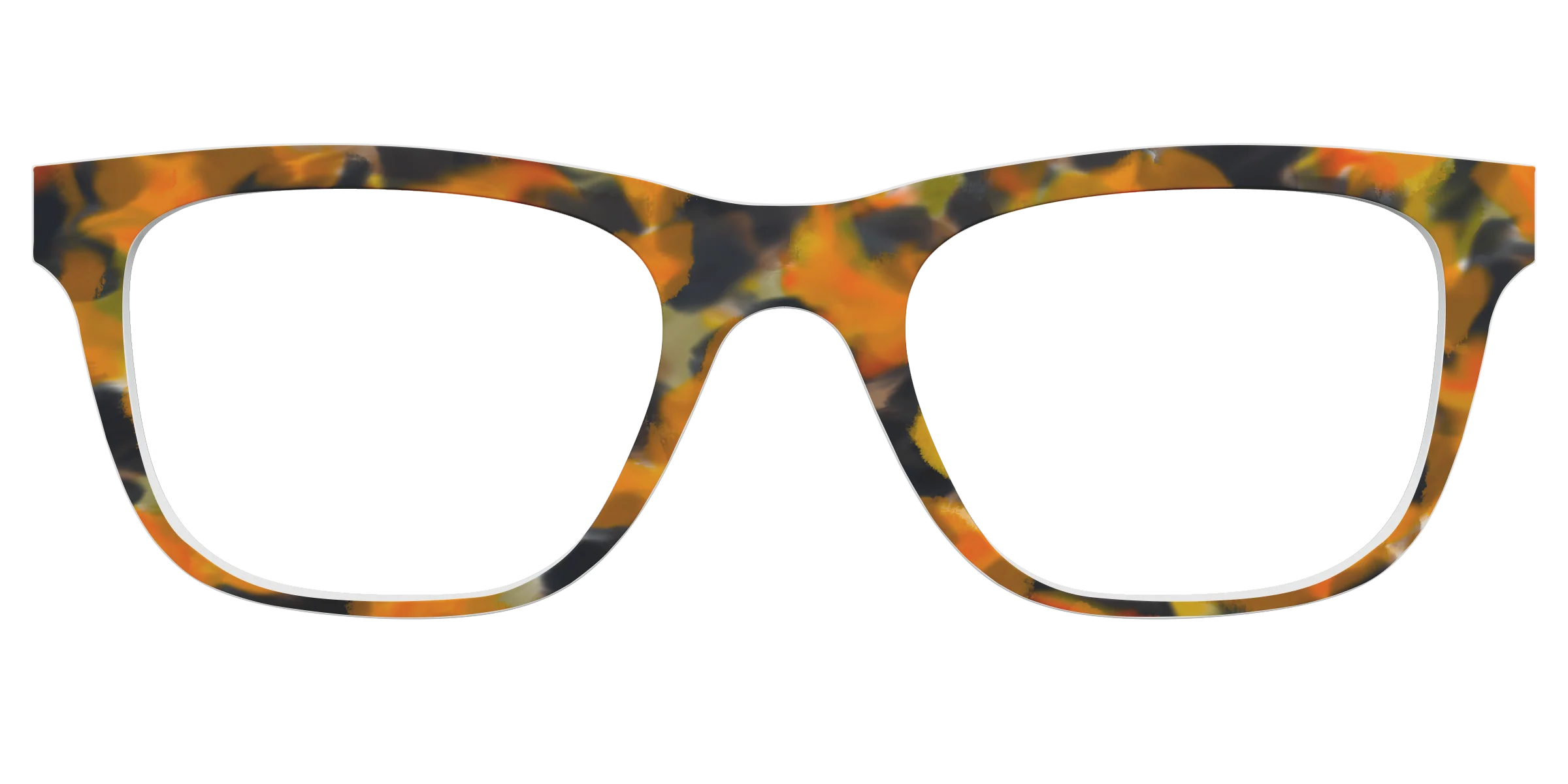 The Pumpkin Tortoise - Image 27