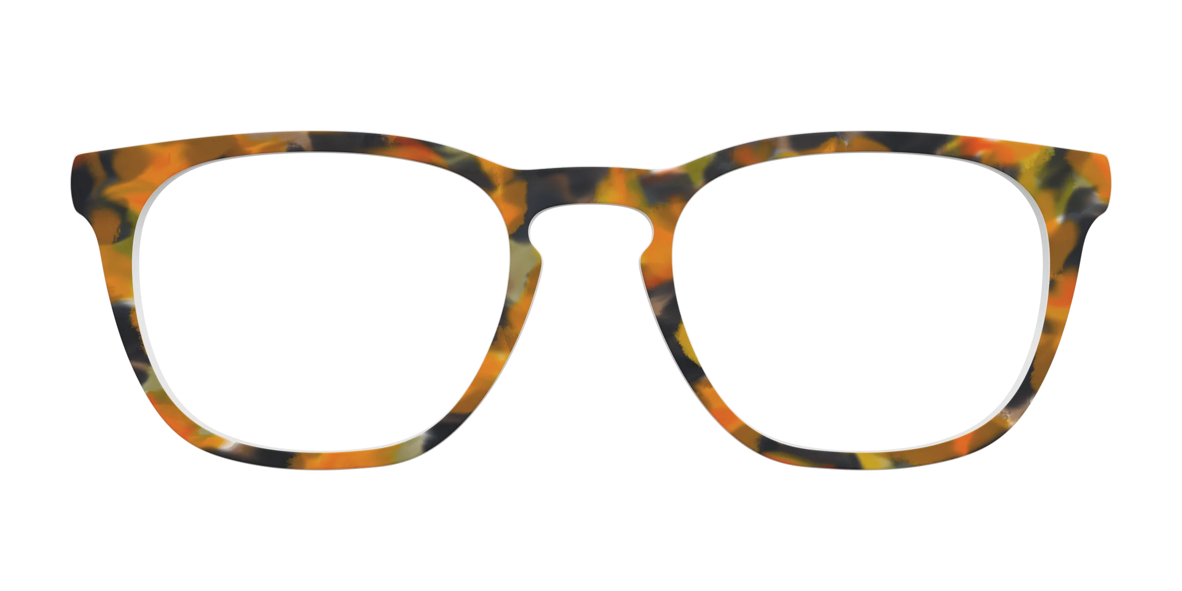 The Pumpkin Tortoise - Image 7