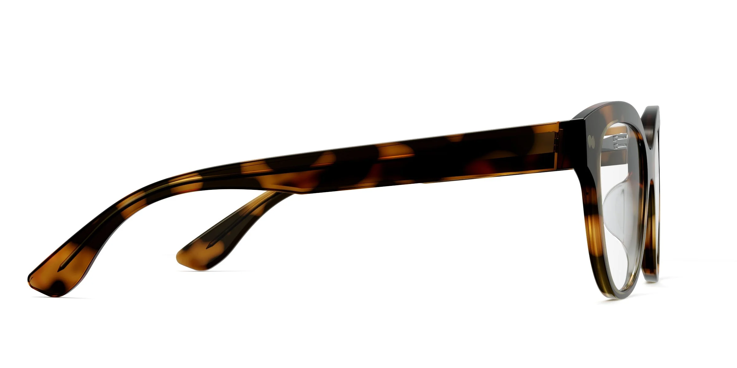 The Quinn - Tortoise - Image 3