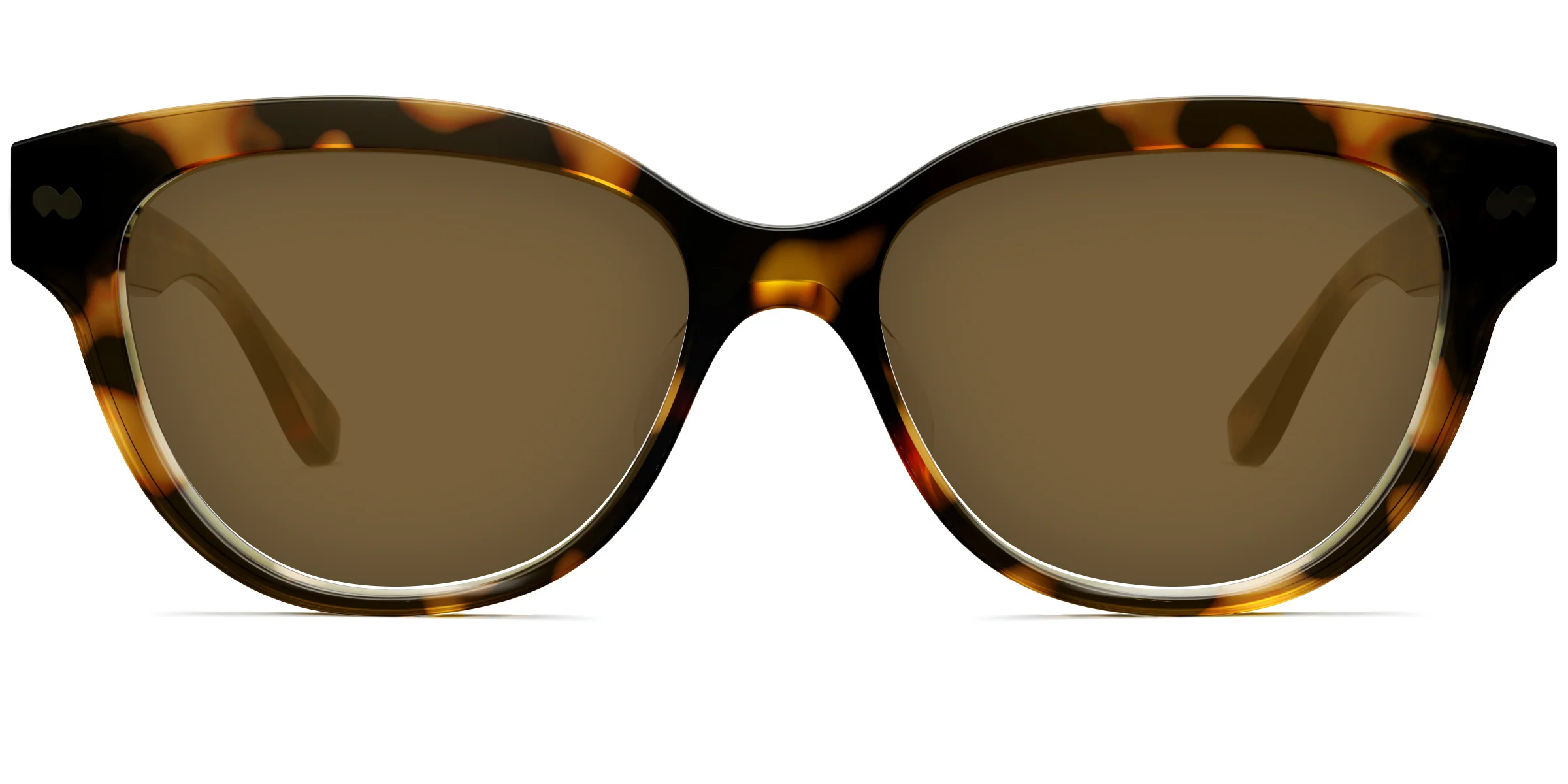 The Quinn - Tortoise - Image 5