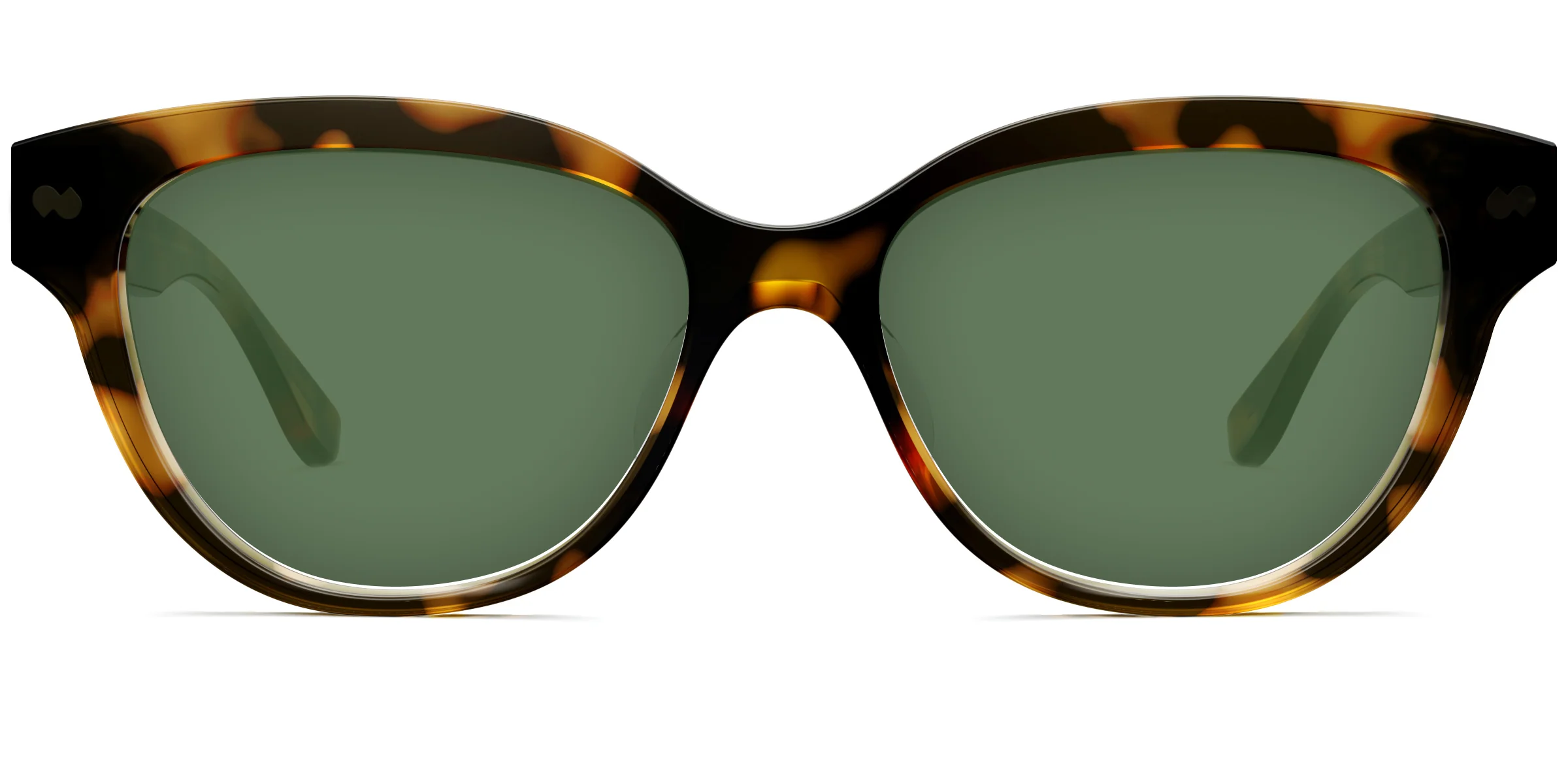 The Quinn - Tortoise - Image 6